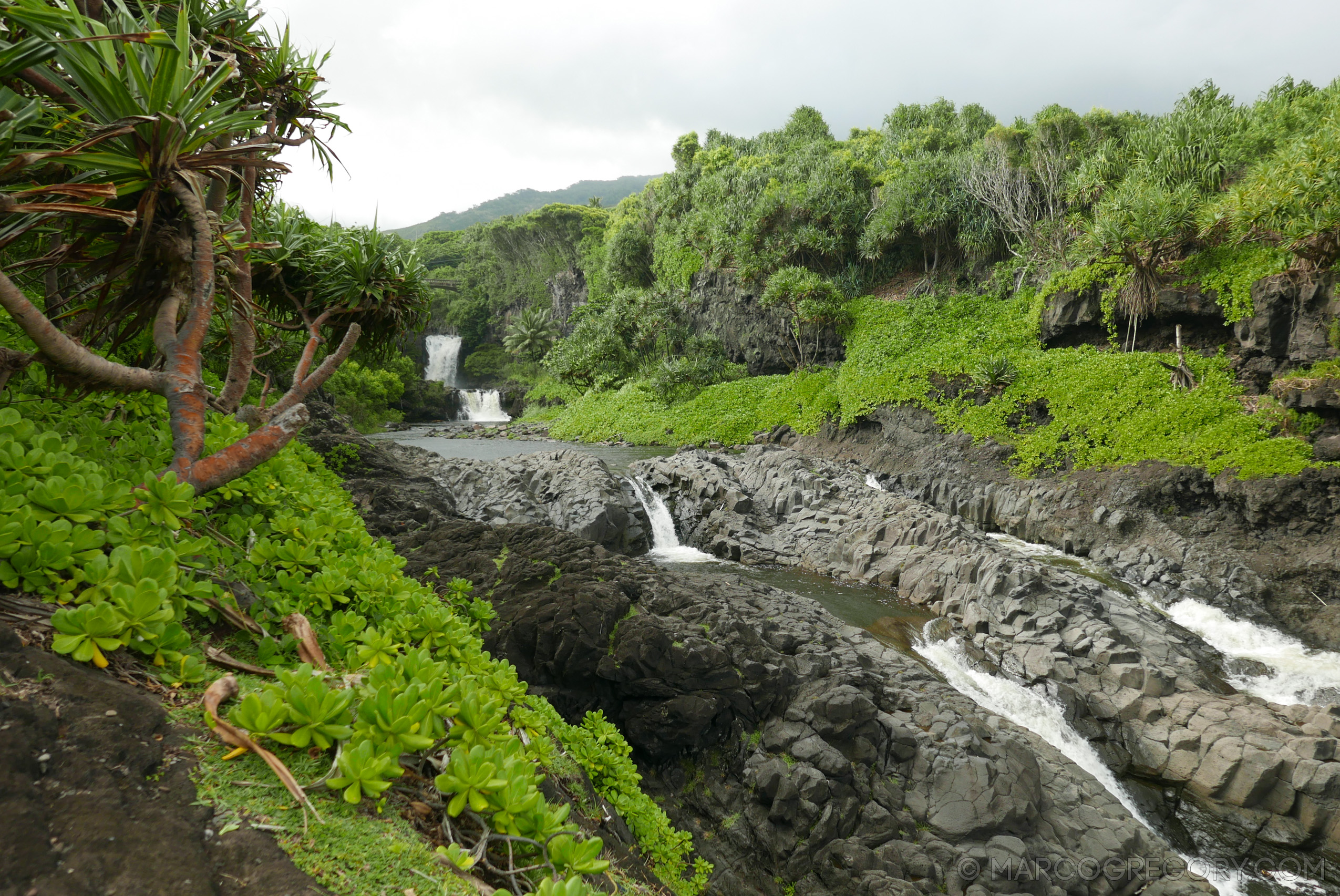 151006 Hawaii 2015 - Photo0418 of 852