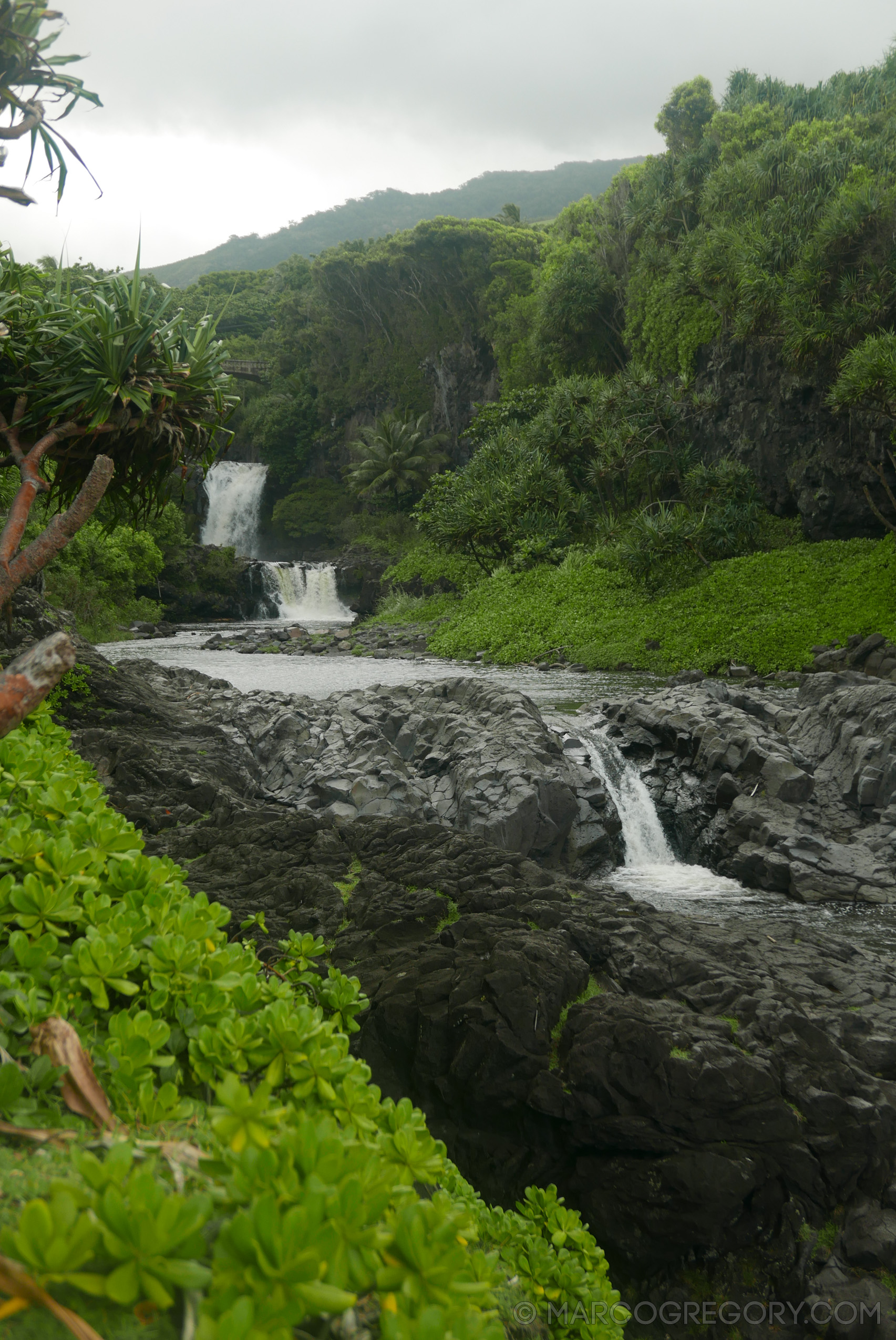 151006 Hawaii 2015 - Photo0420 of 852