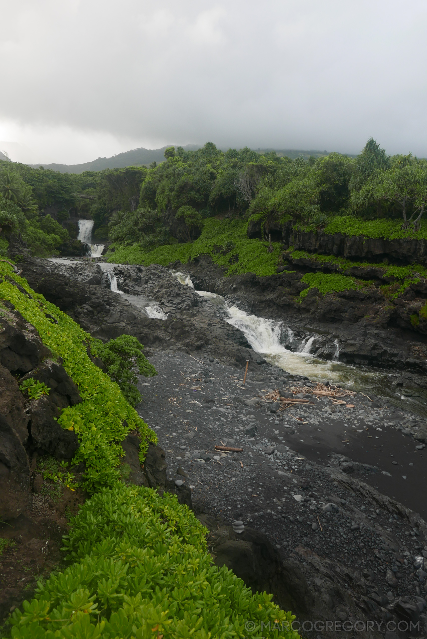 151006 Hawaii 2015 - Photo0422 of 852