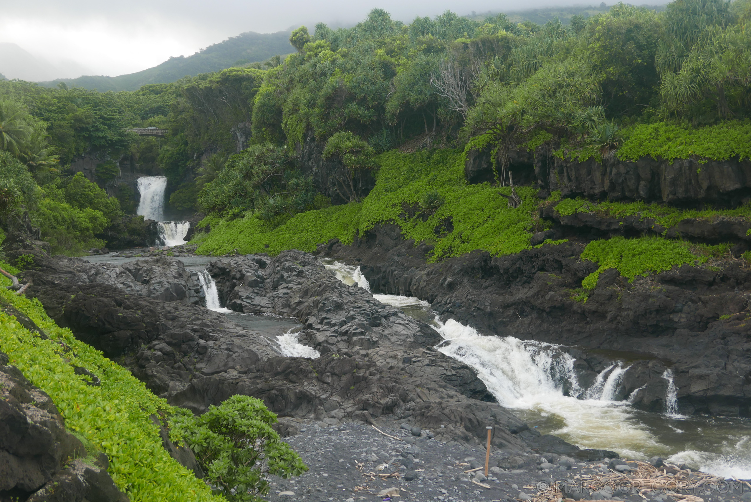 151006 Hawaii 2015 - Photo0424 of 852