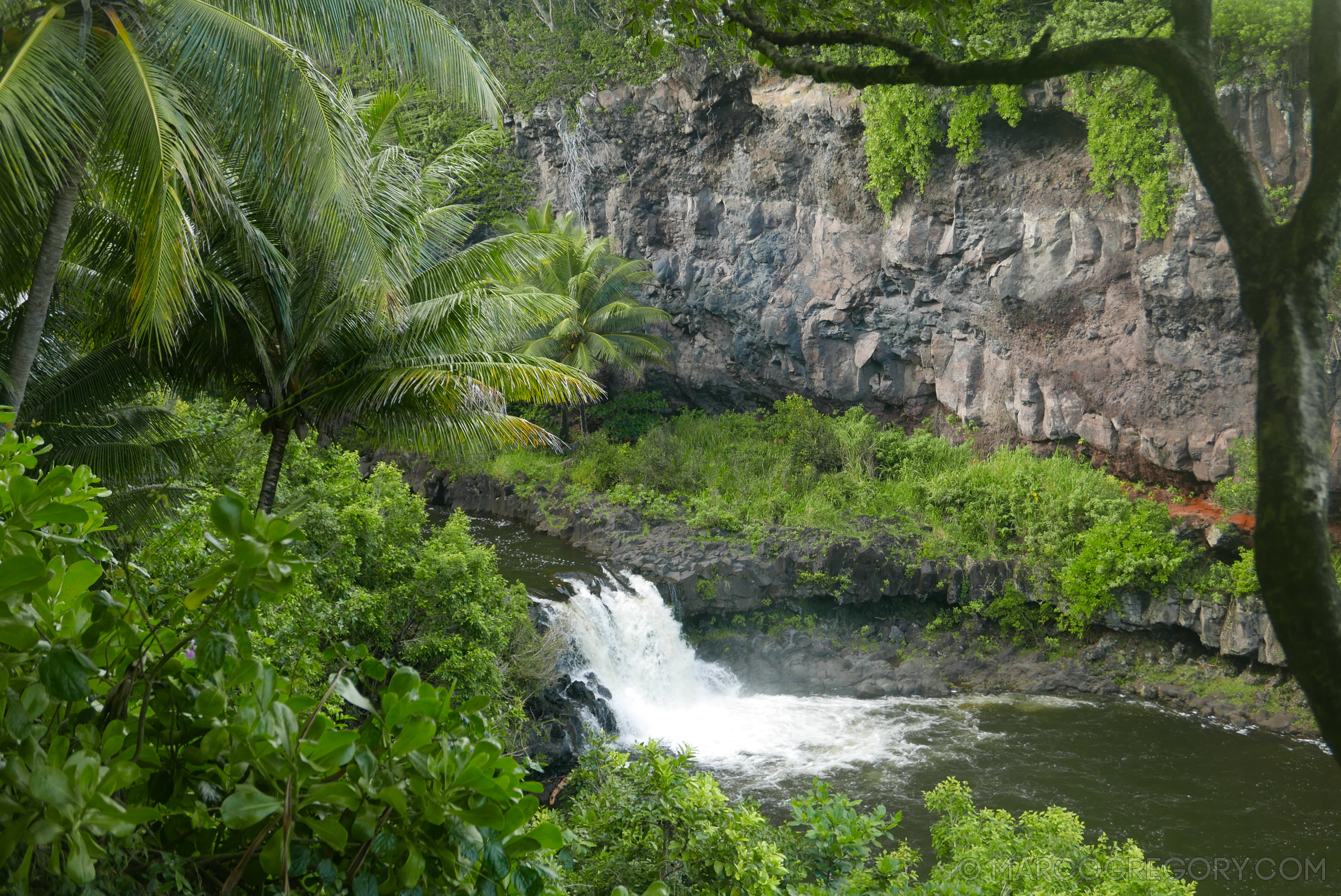 151006 Hawaii 2015 - Photo0425 of 852