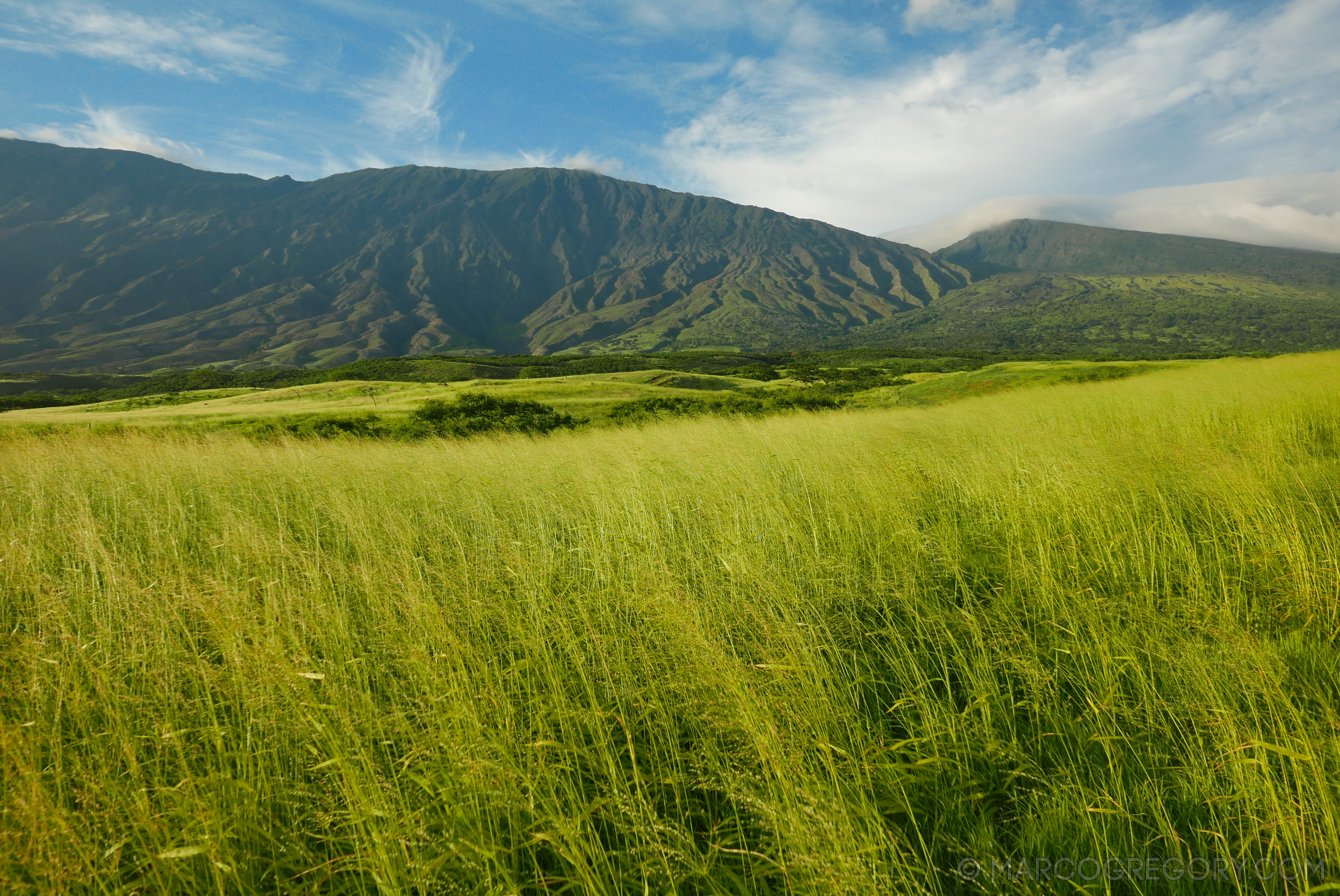 151006 Hawaii 2015 - Photo0433 of 852