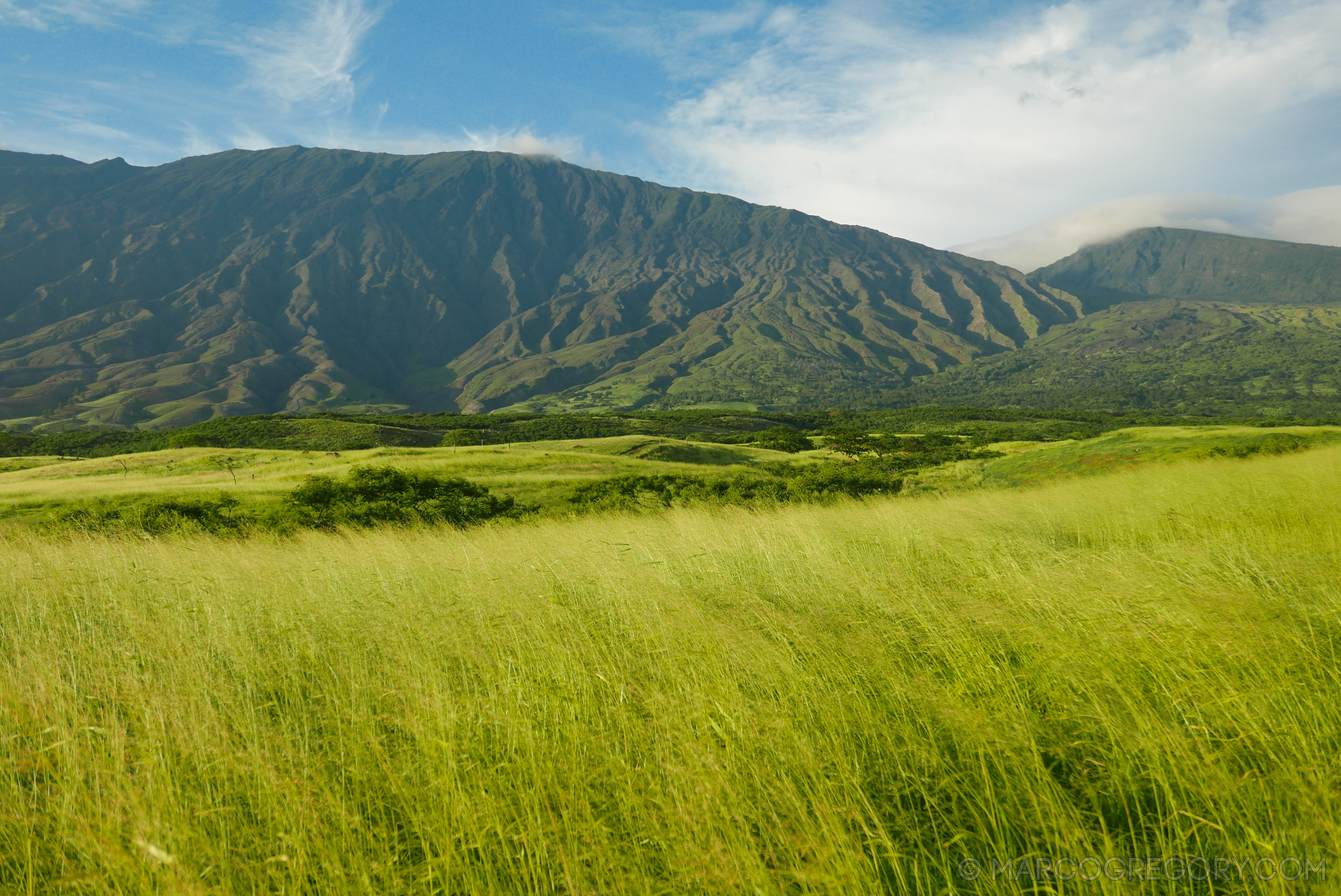 151006 Hawaii 2015 - Photo0434 of 852