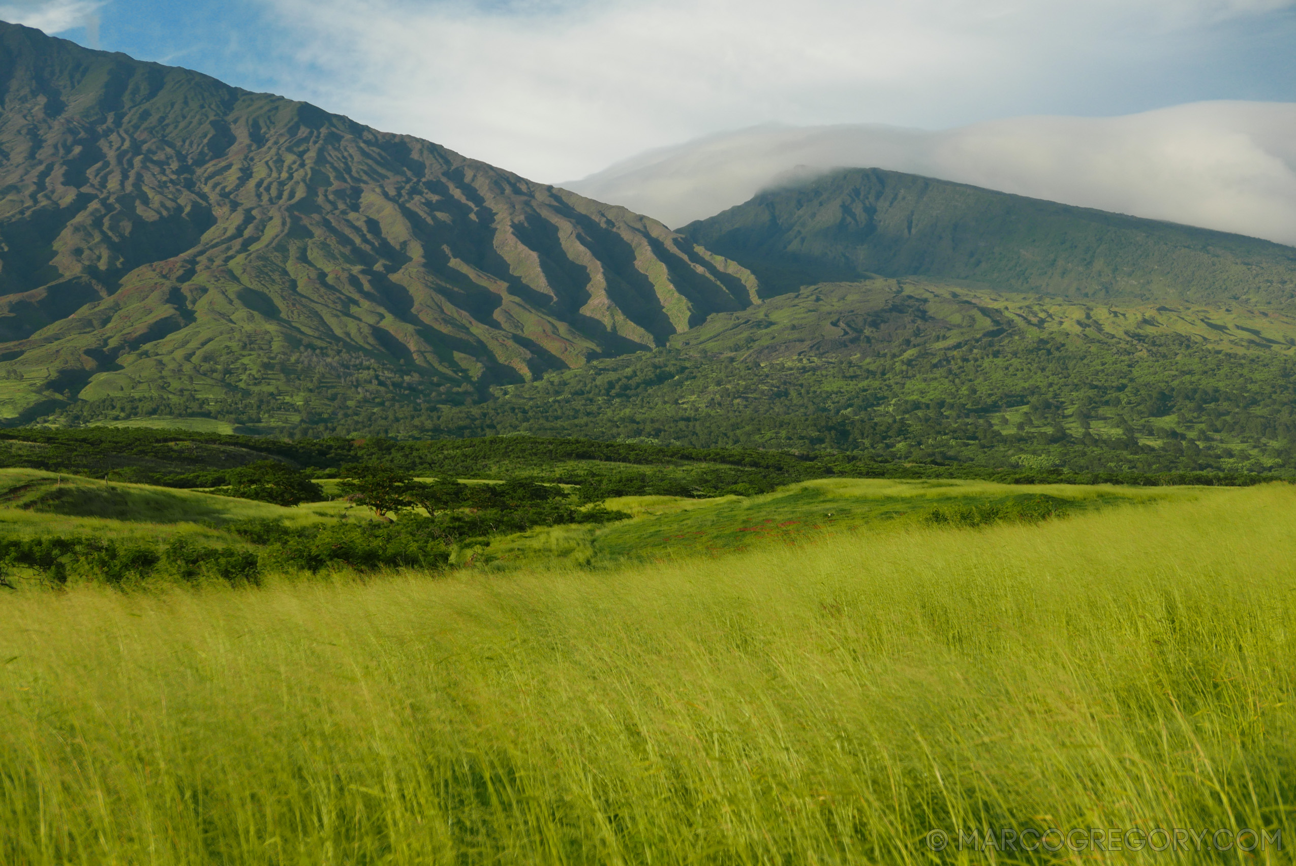 151006 Hawaii 2015 - Photo0437 of 852