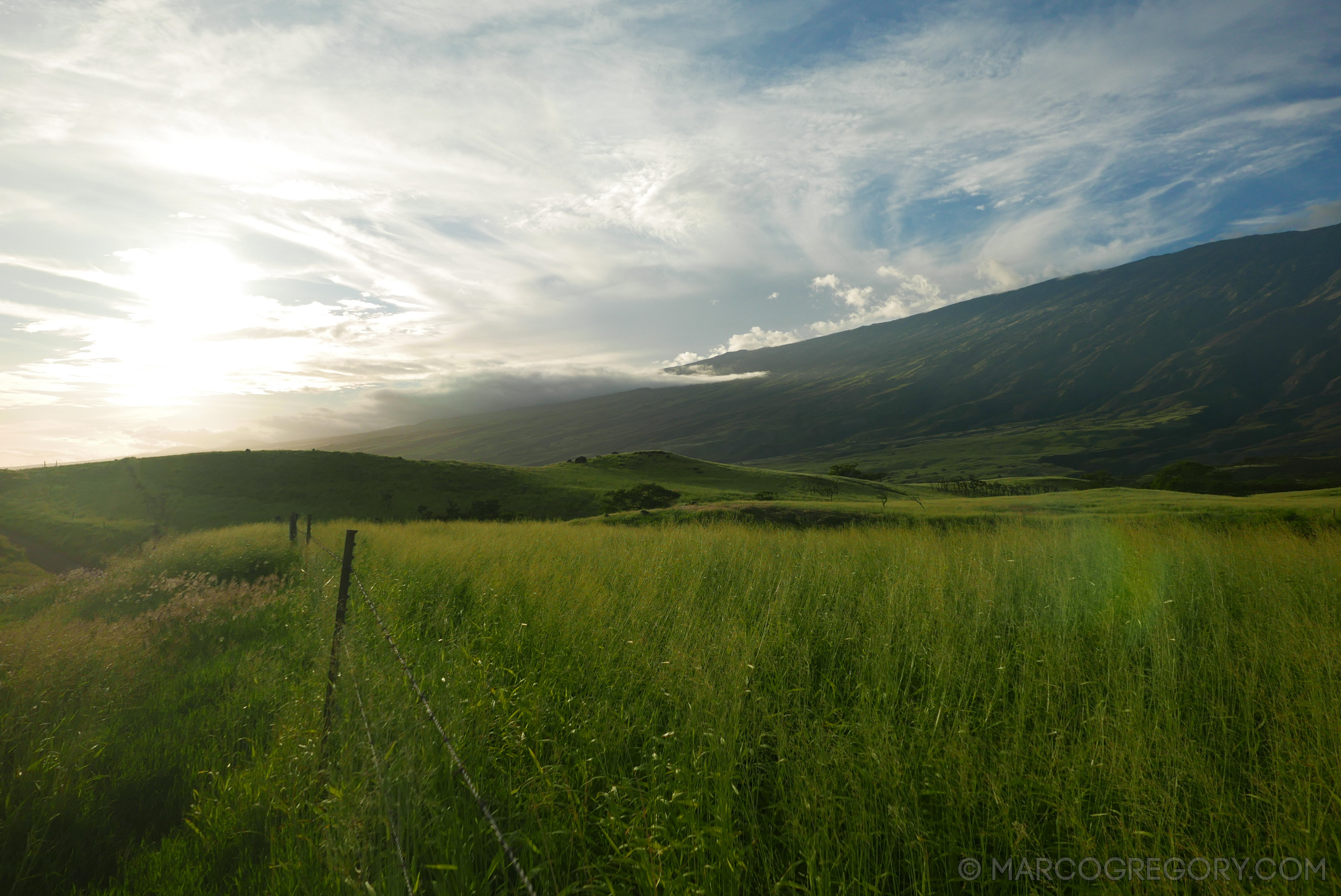 151006 Hawaii 2015 - Photo0438 of 852