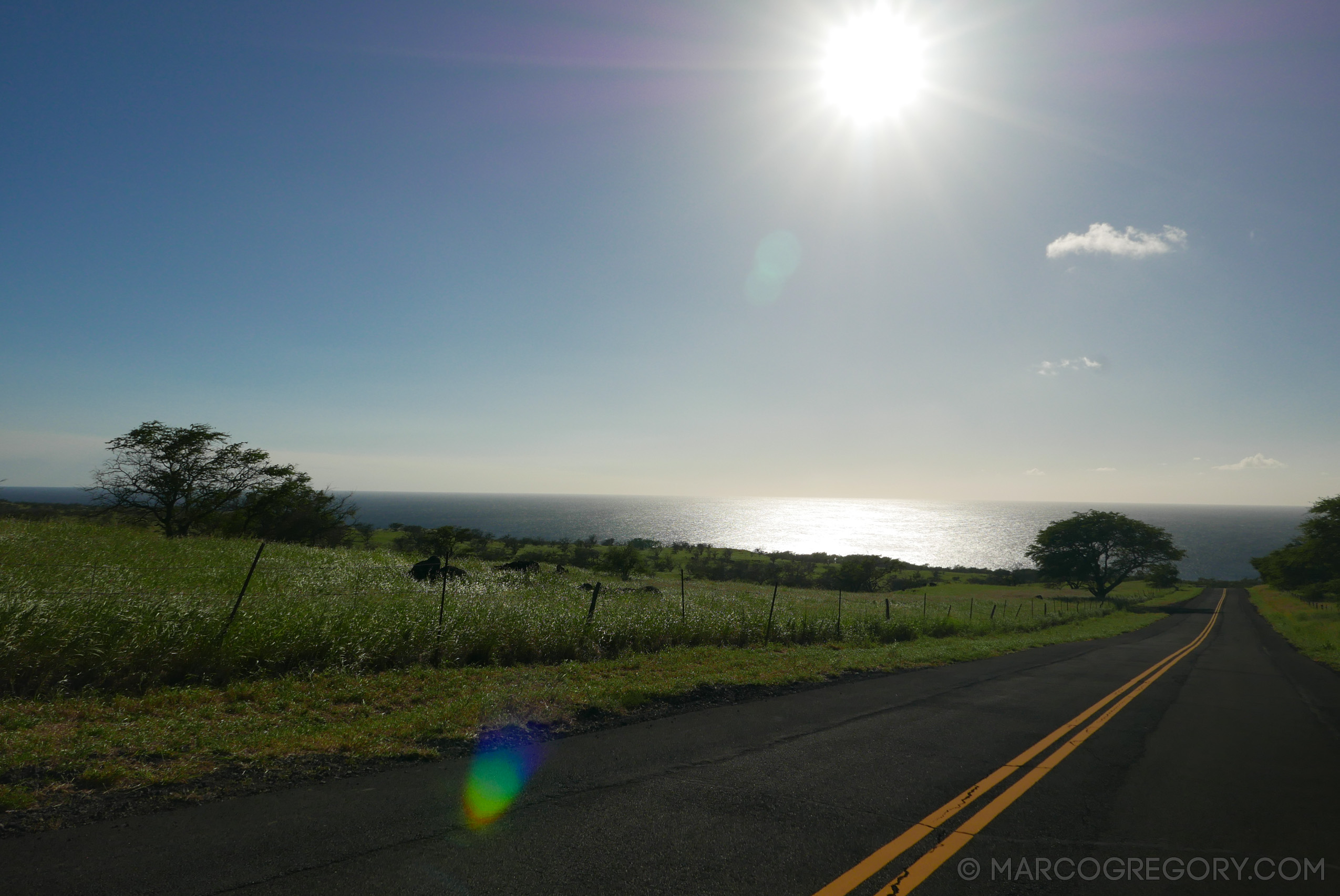 151006 Hawaii 2015 - Photo0468 of 852