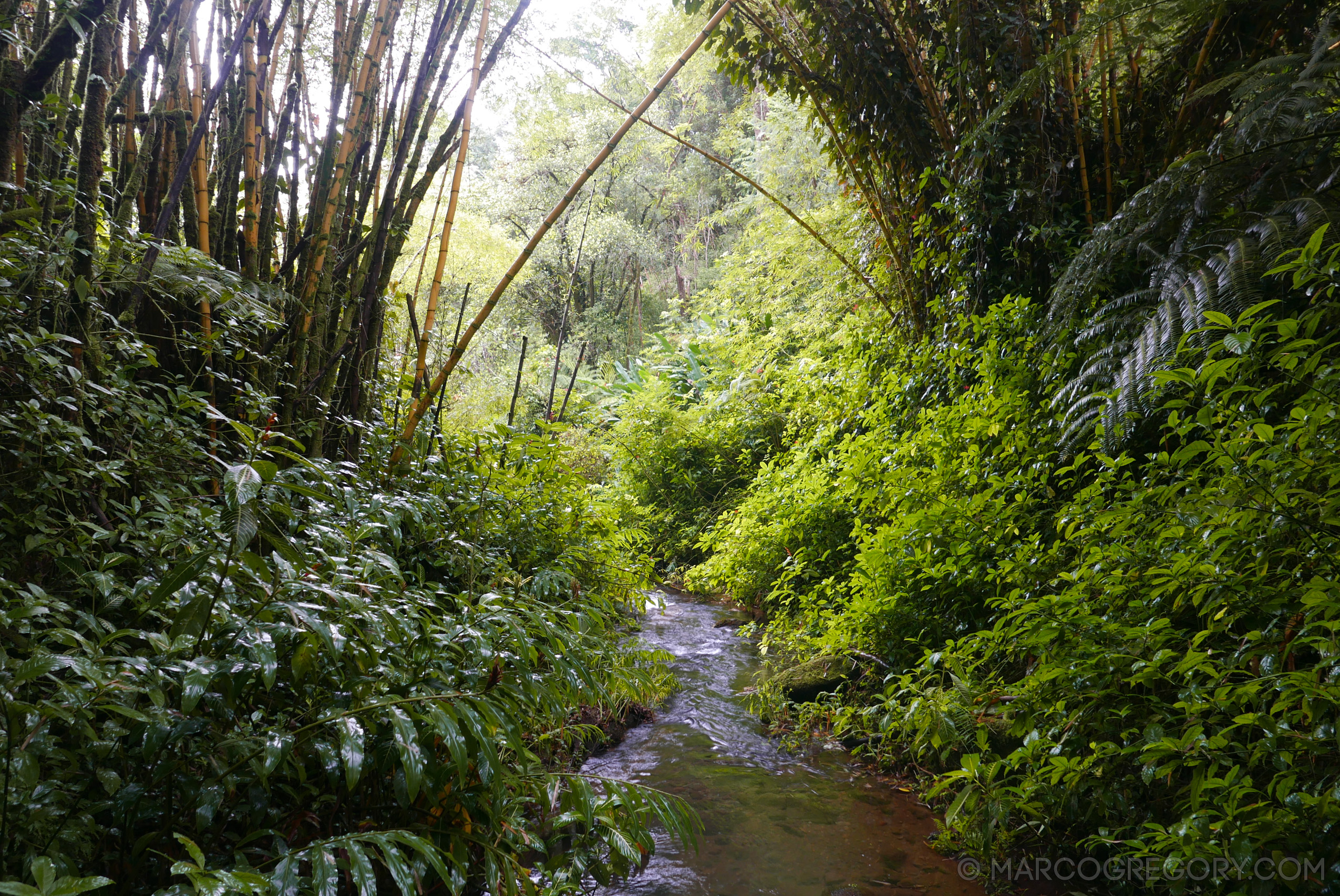 151006 Hawaii 2015 - Photo0540 of 852