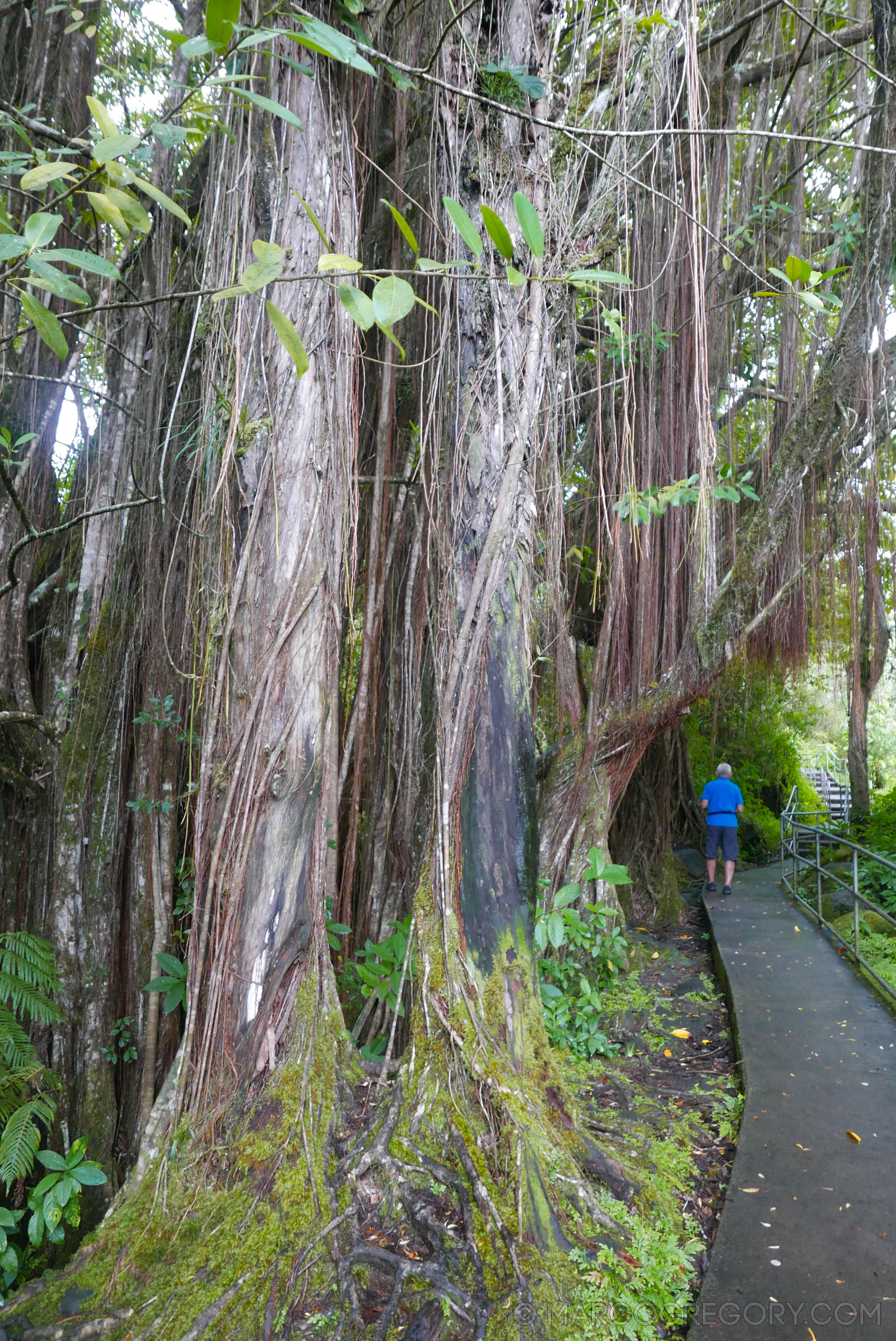 151006 Hawaii 2015 - Photo0546 of 852