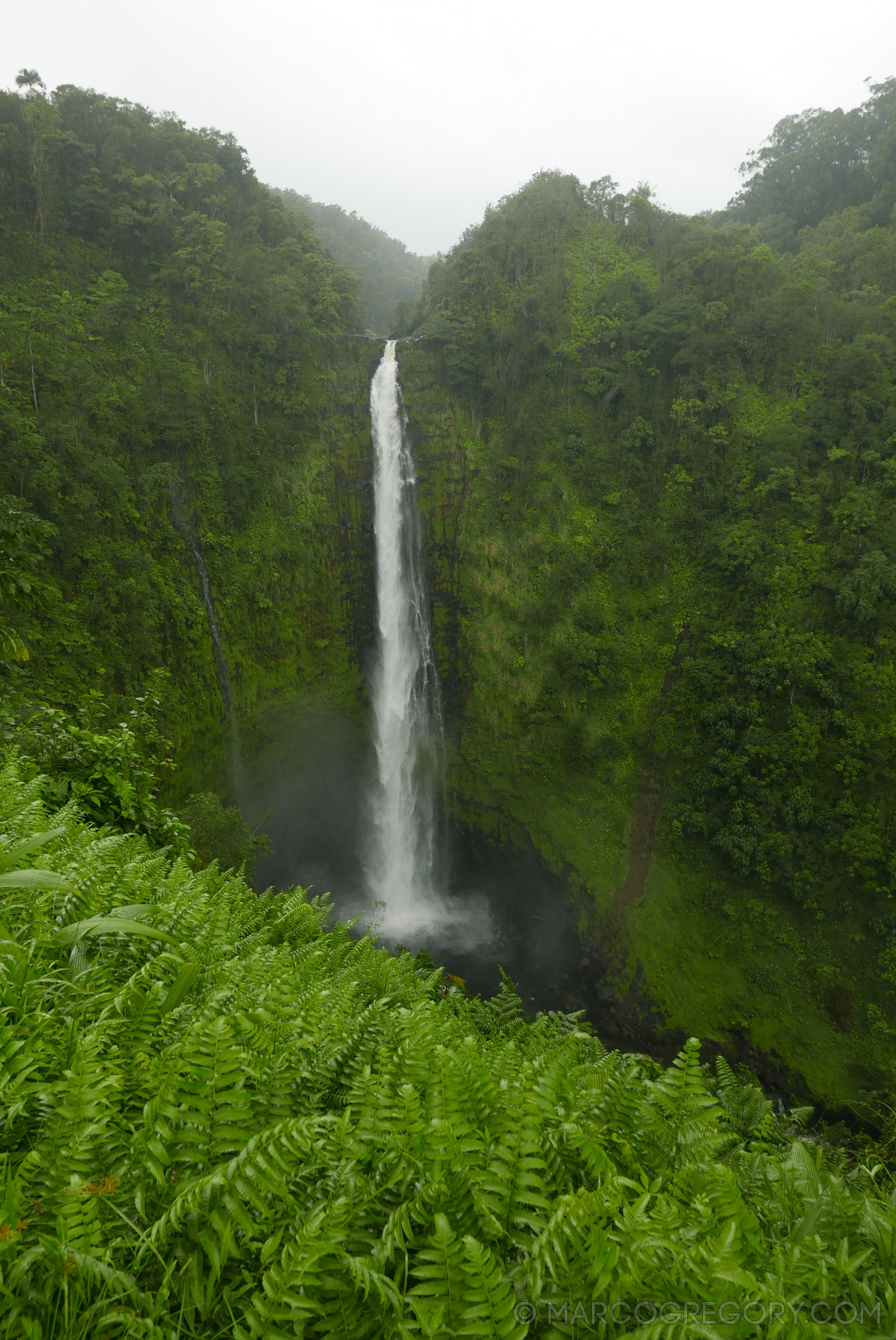 151006 Hawaii 2015 - Photo0553 of 852