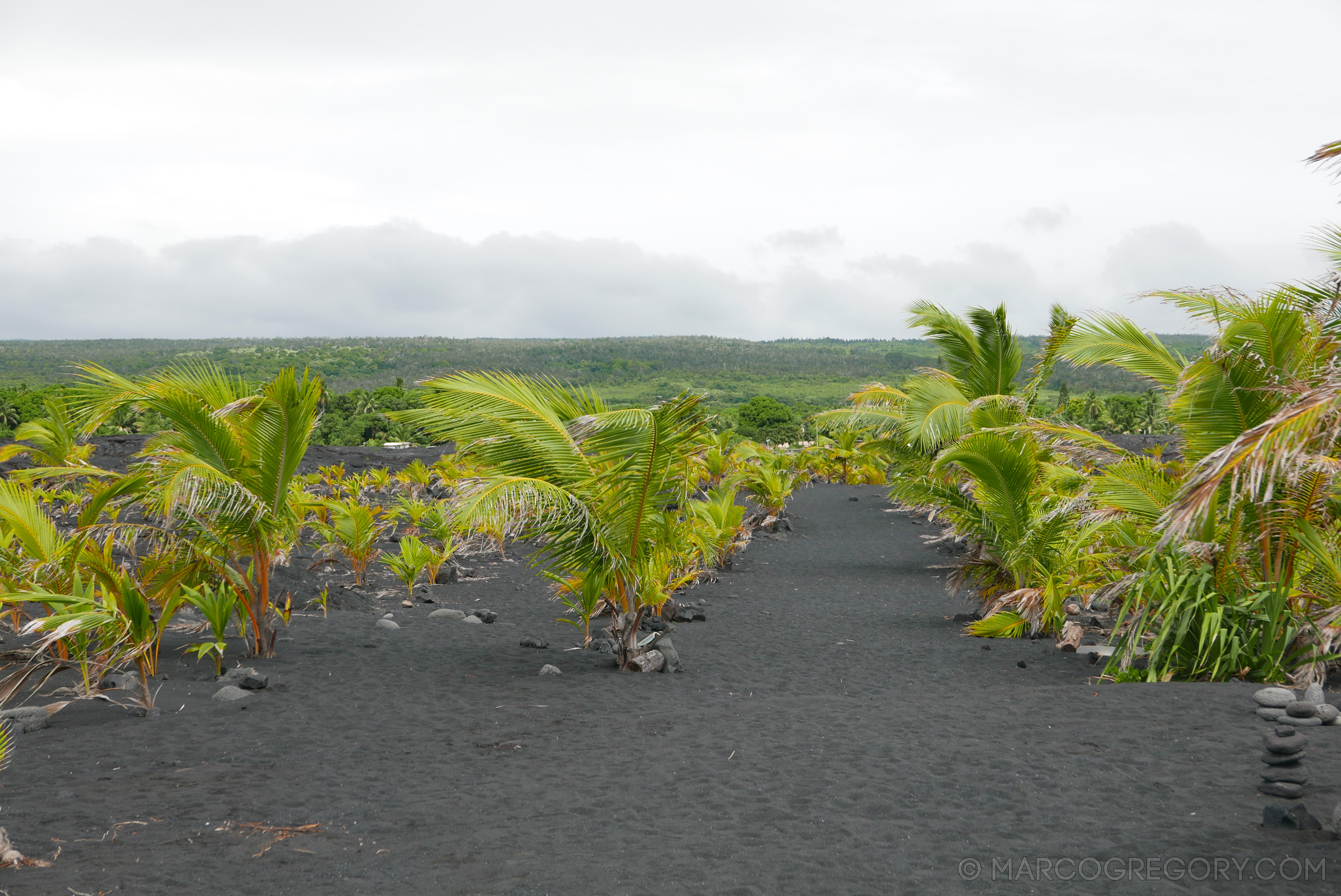 151006 Hawaii 2015 - Photo0616 of 852