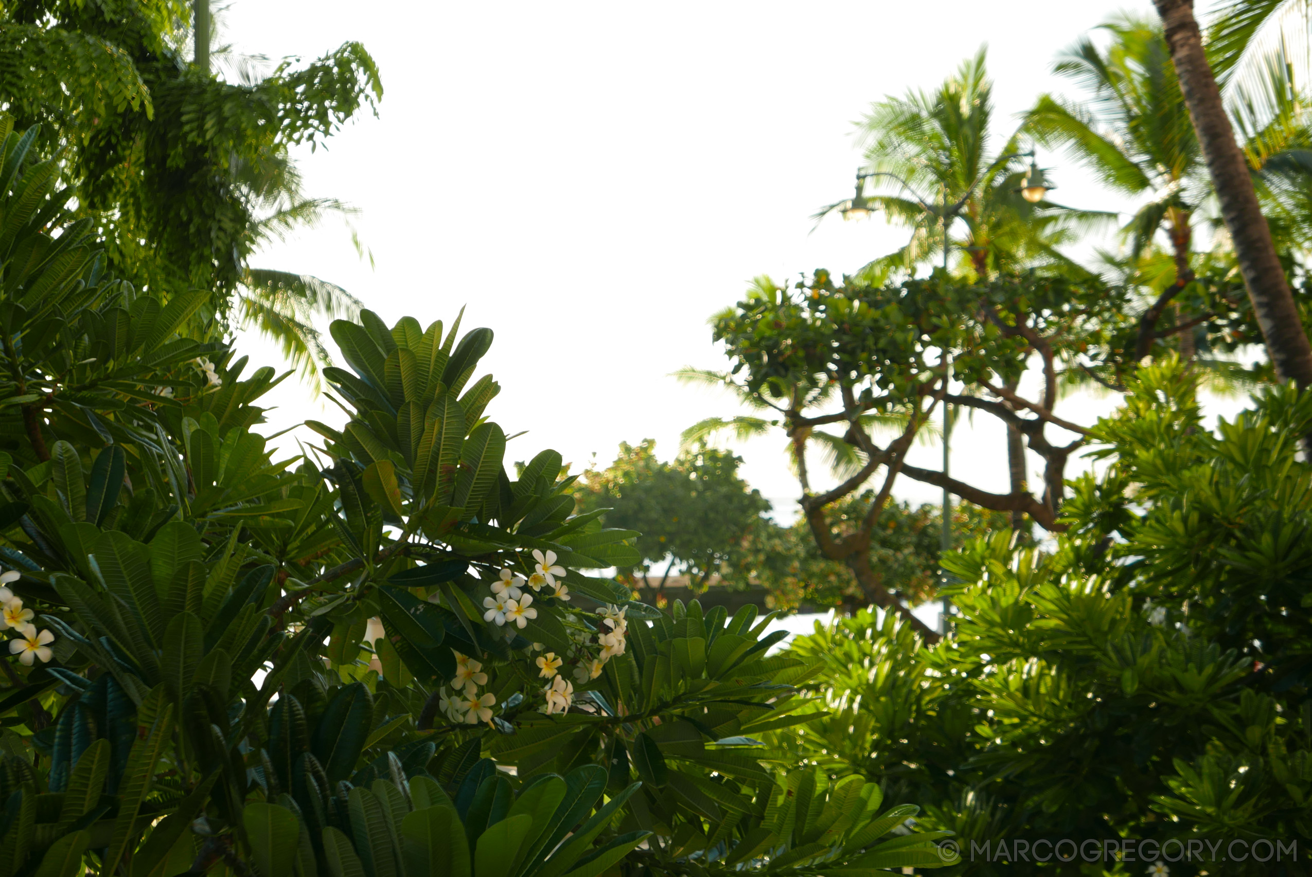 151006 Hawaii 2015 - Photo0629 of 852