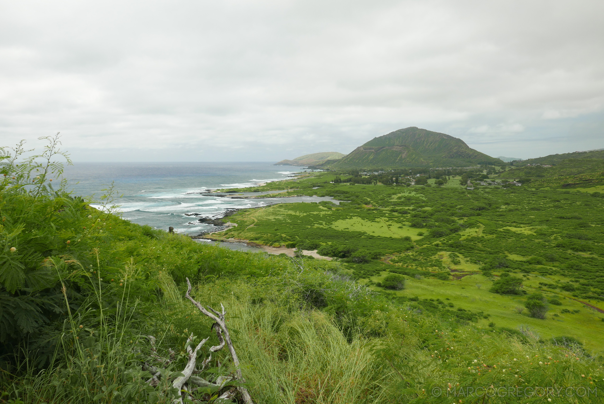 151006 Hawaii 2015 - Photo0710 of 852