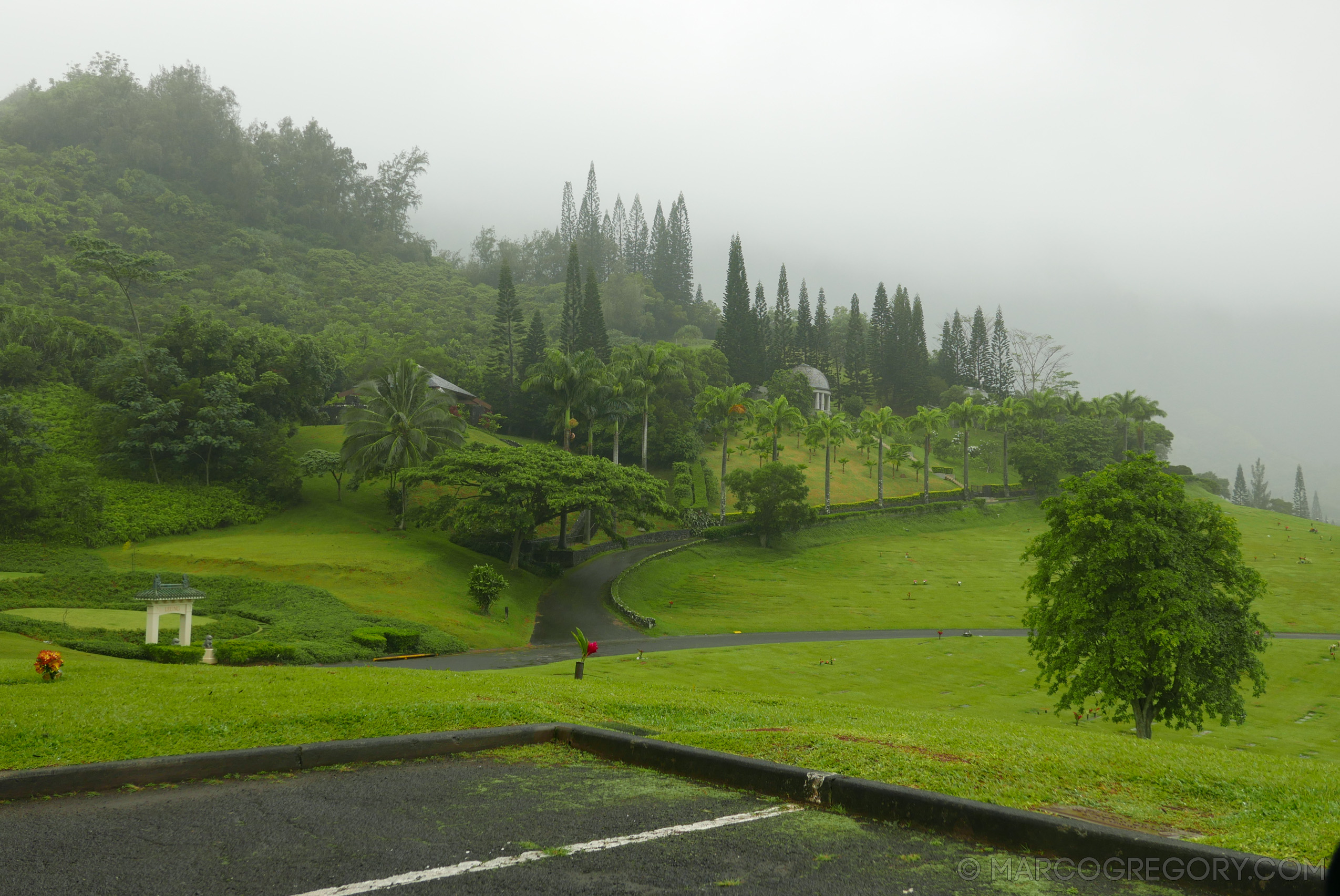 151006 Hawaii 2015 - Photo0733 of 852