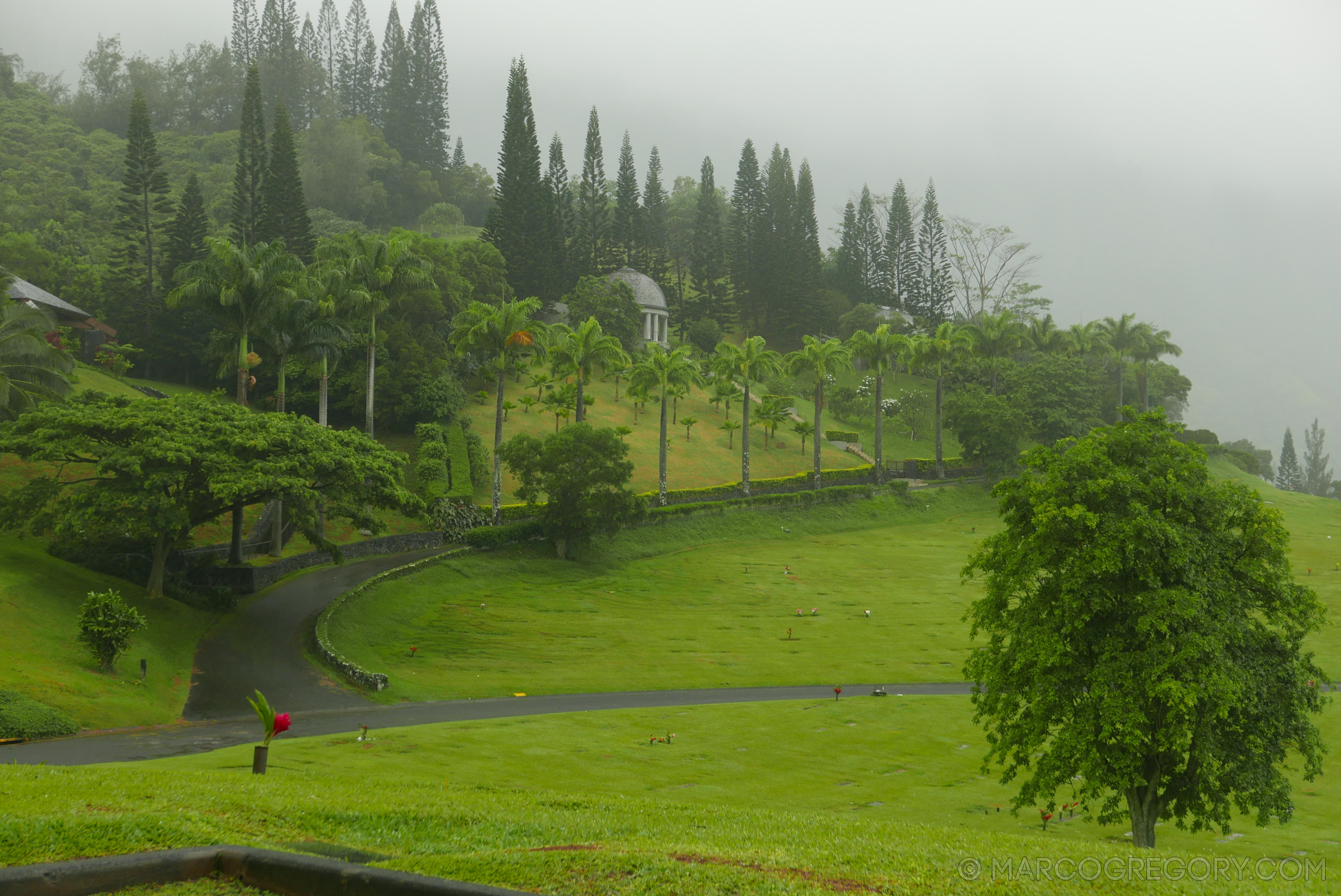 151006 Hawaii 2015 - Photo0734 of 852