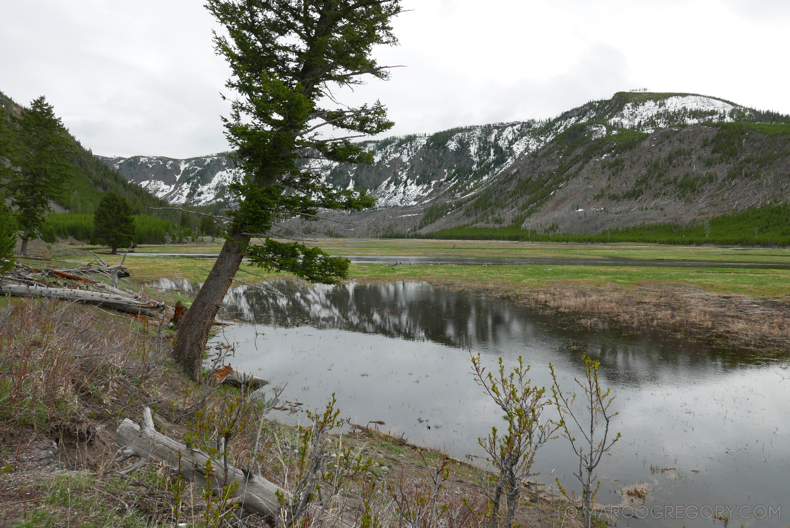 180504 USA Trip 2018 - Photo0507 of 1315