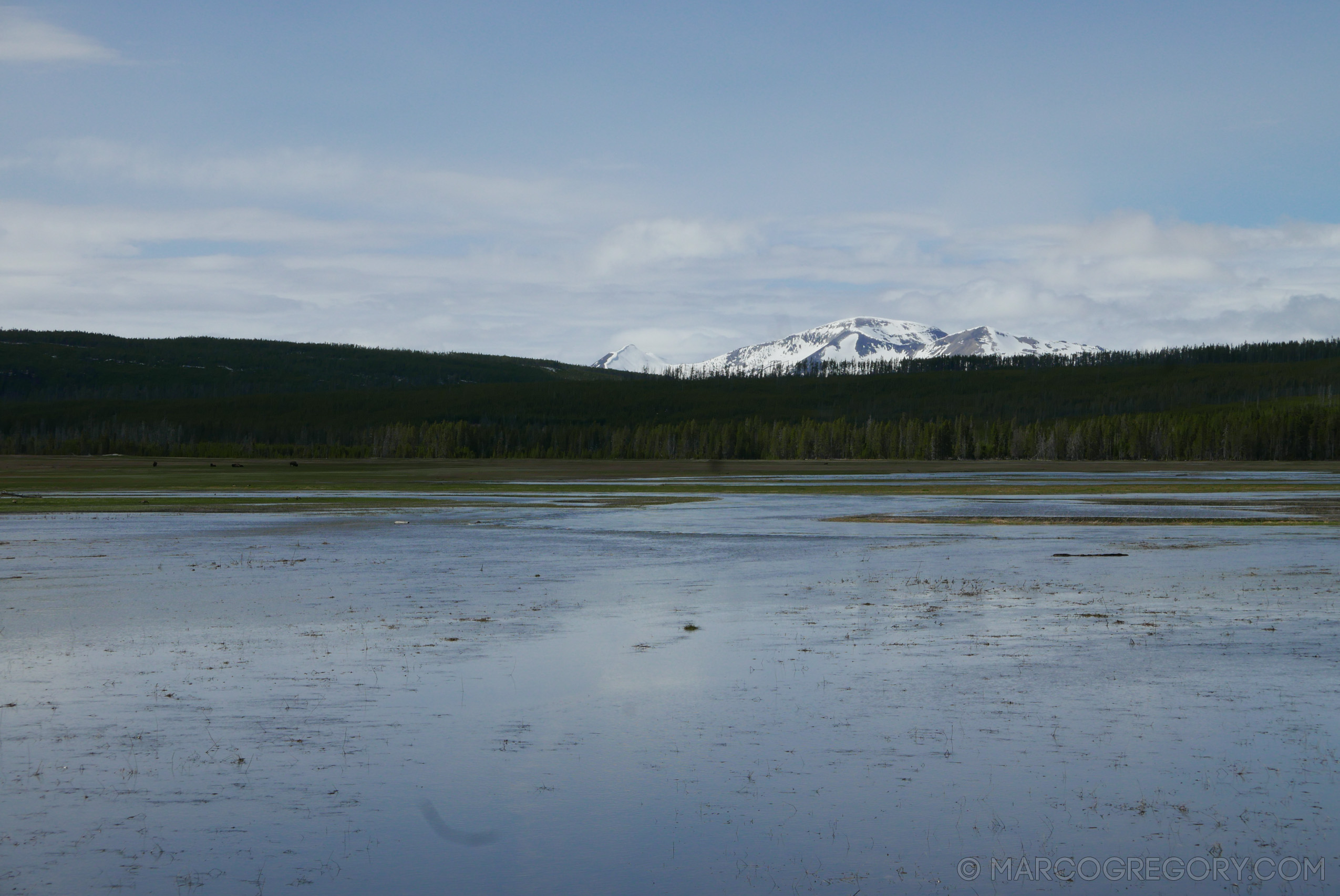 180504 USA Trip 2018 - Photo0521 of 1315