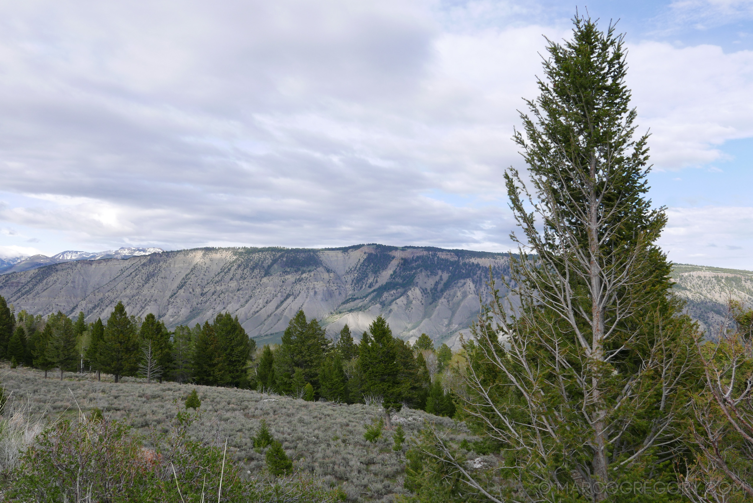 180504 USA Trip 2018 - Photo0549 of 1315