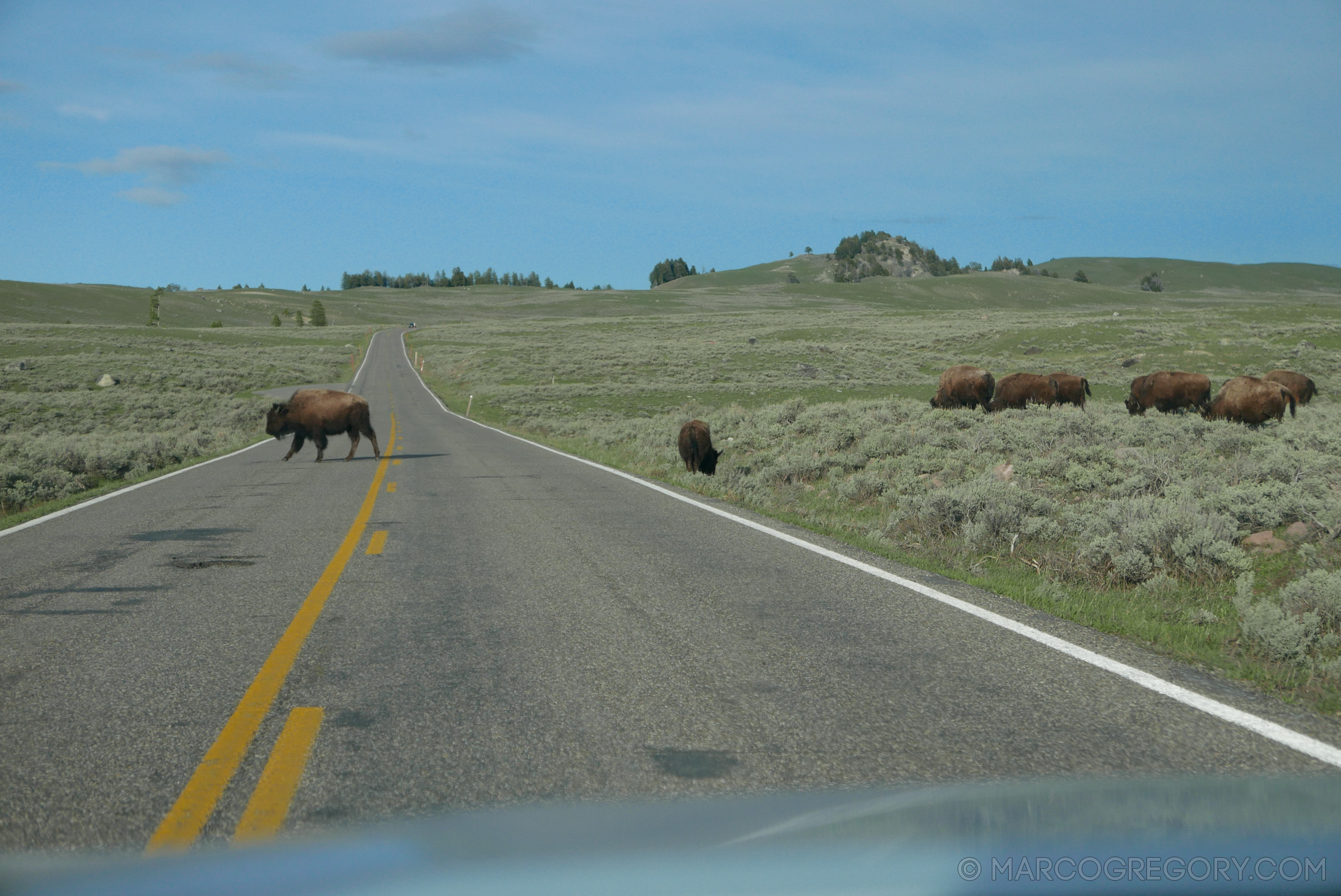 180504 USA Trip 2018 - Photo0574 of 1315