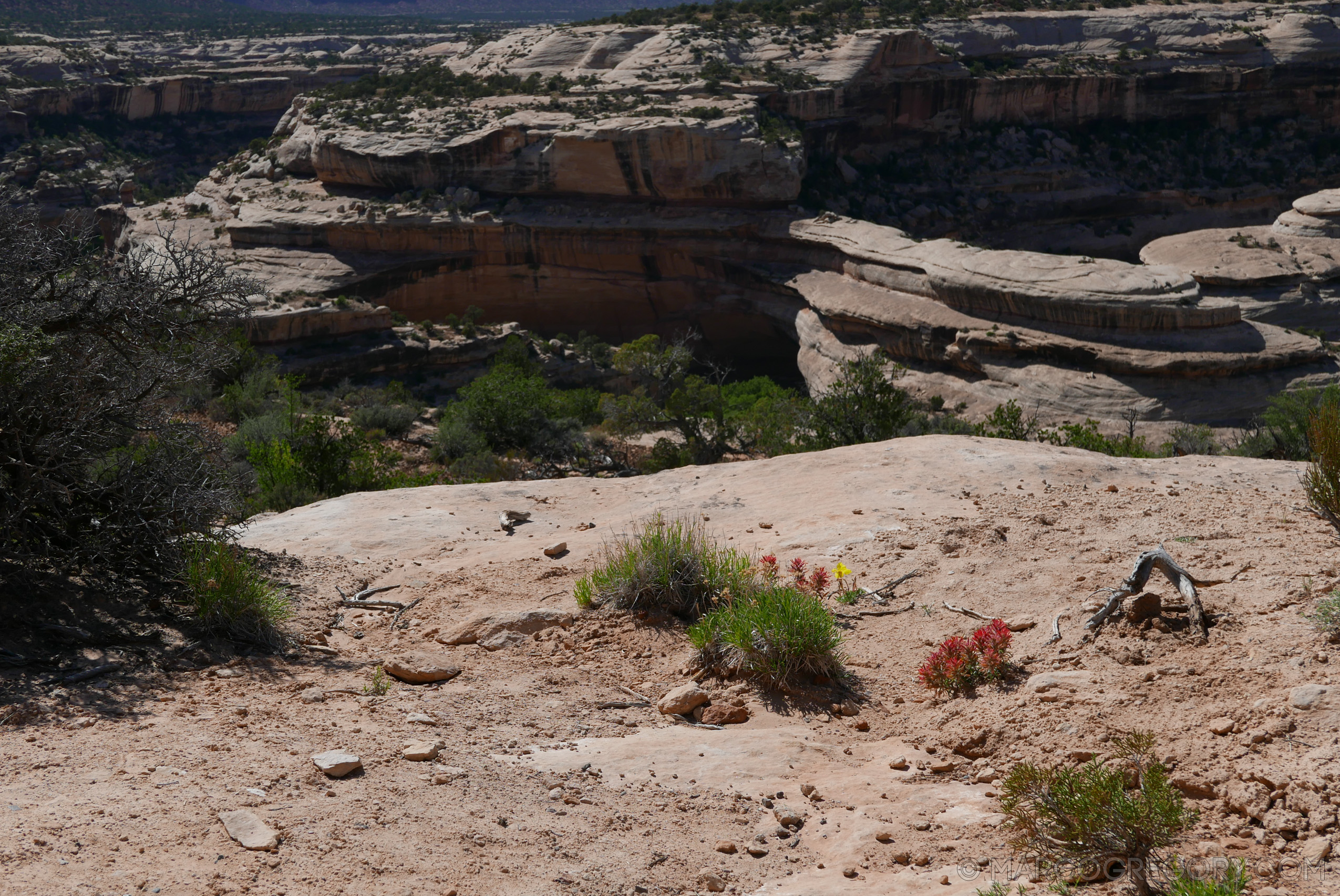 180504 USA Trip 2018 - Photo0774 of 1315