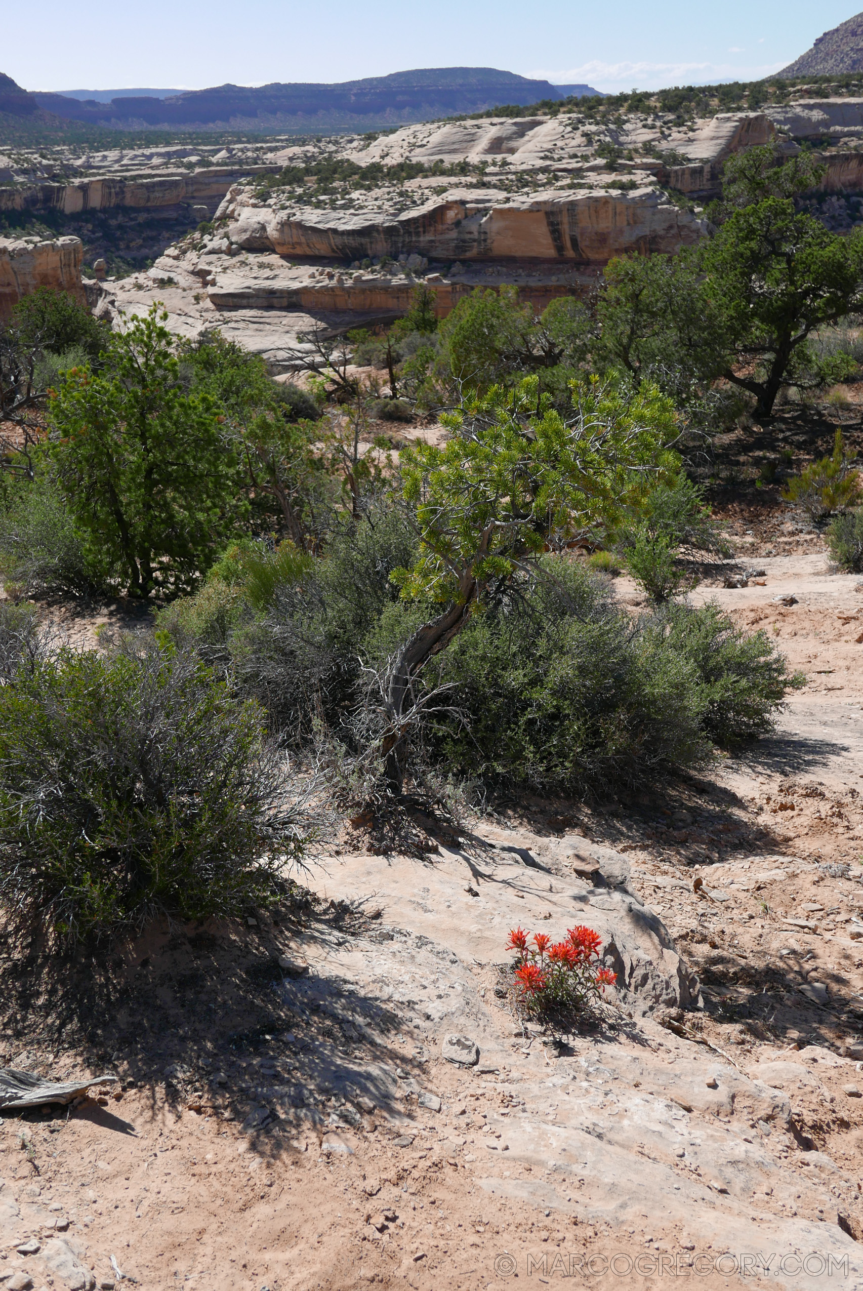 180504 USA Trip 2018 - Photo0775 of 1315