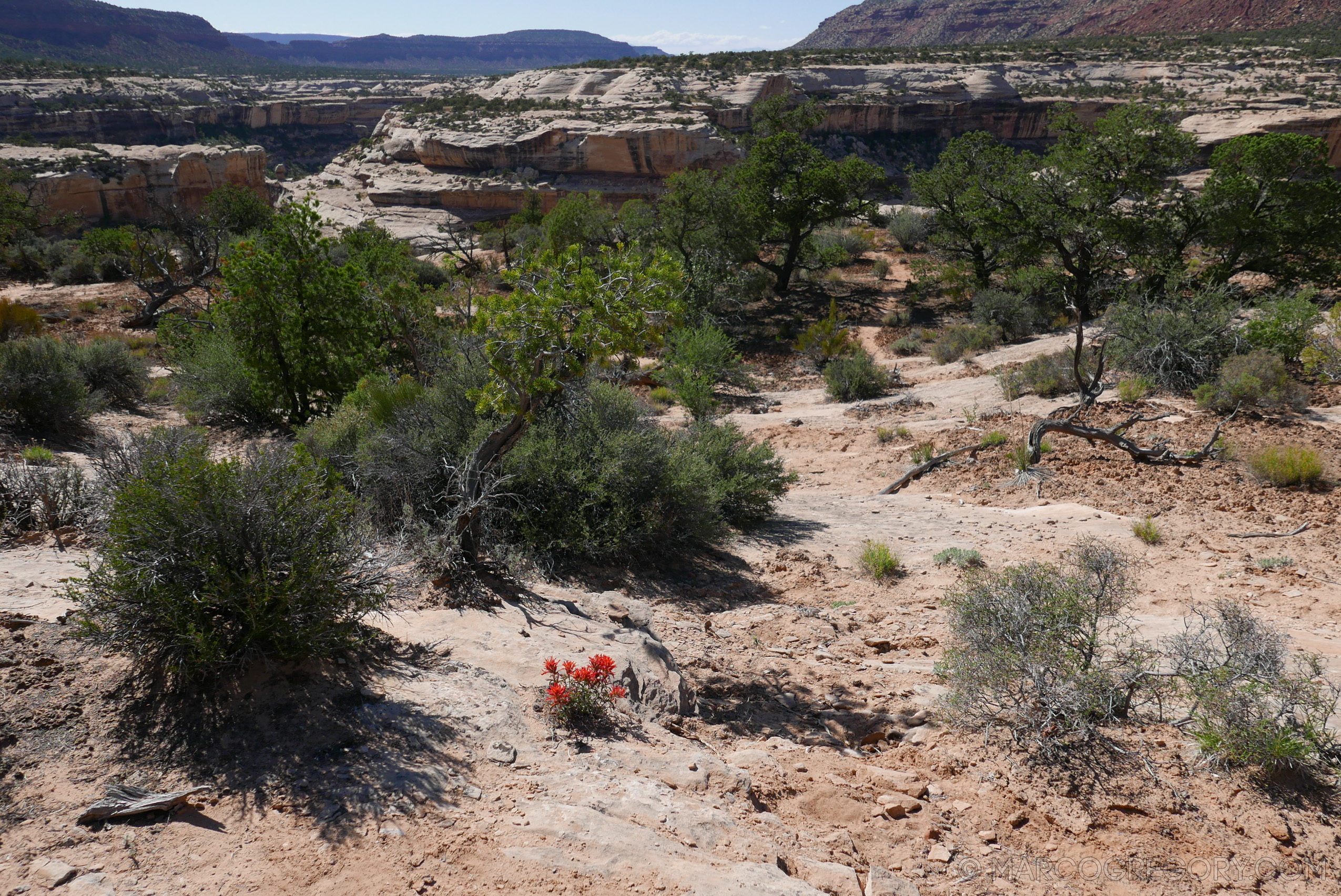 180504 USA Trip 2018 - Photo0776 of 1315