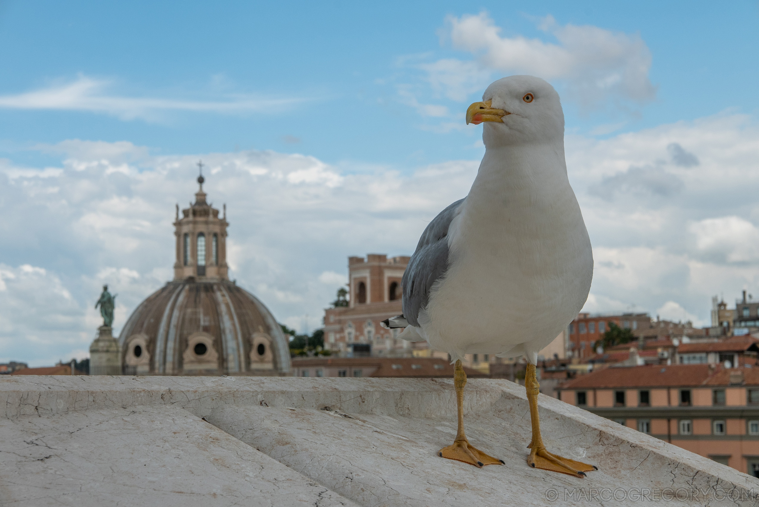 190410 Roma 2019 - Photo0080 of 387