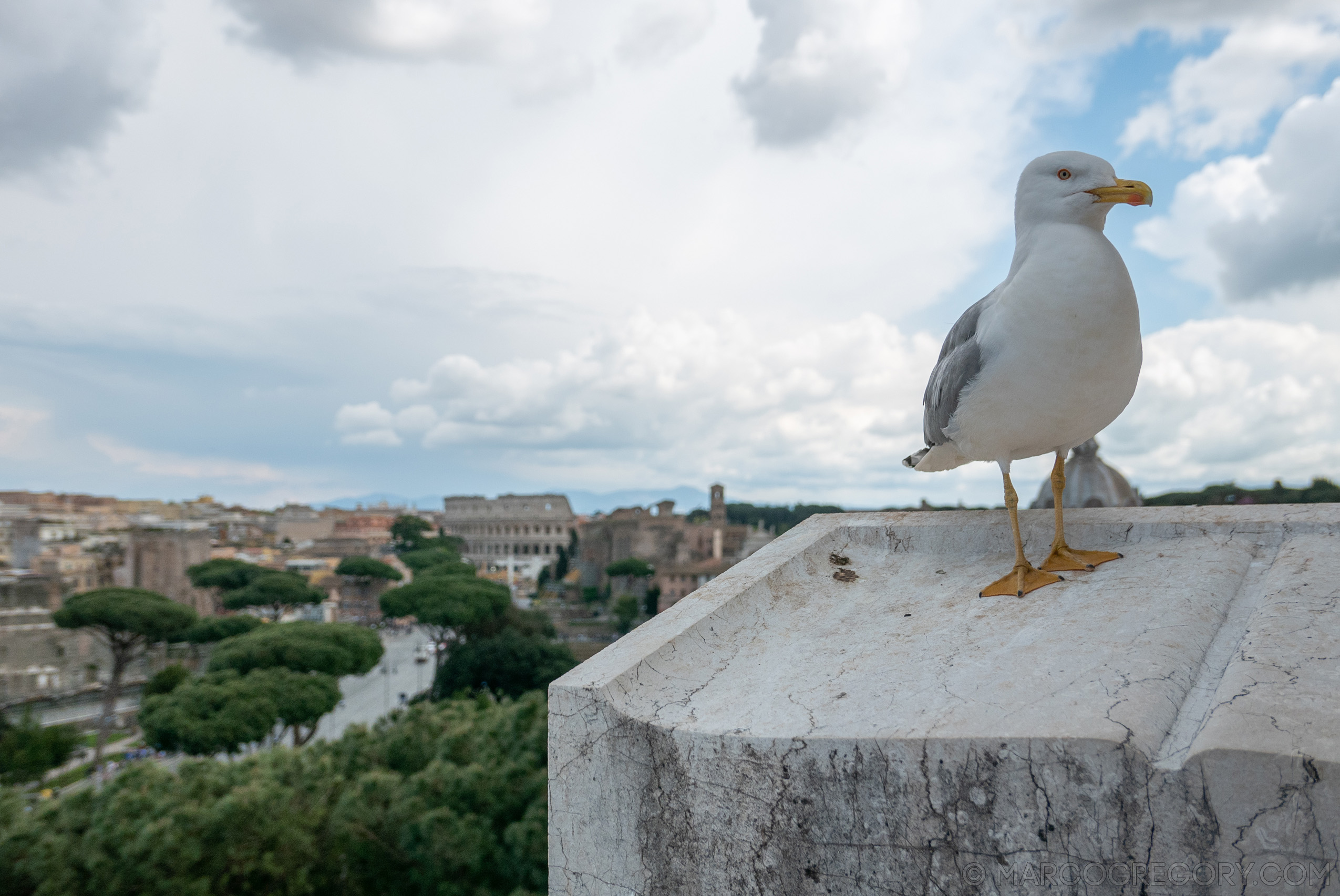 190410 Roma 2019 - Photo0081 of 387