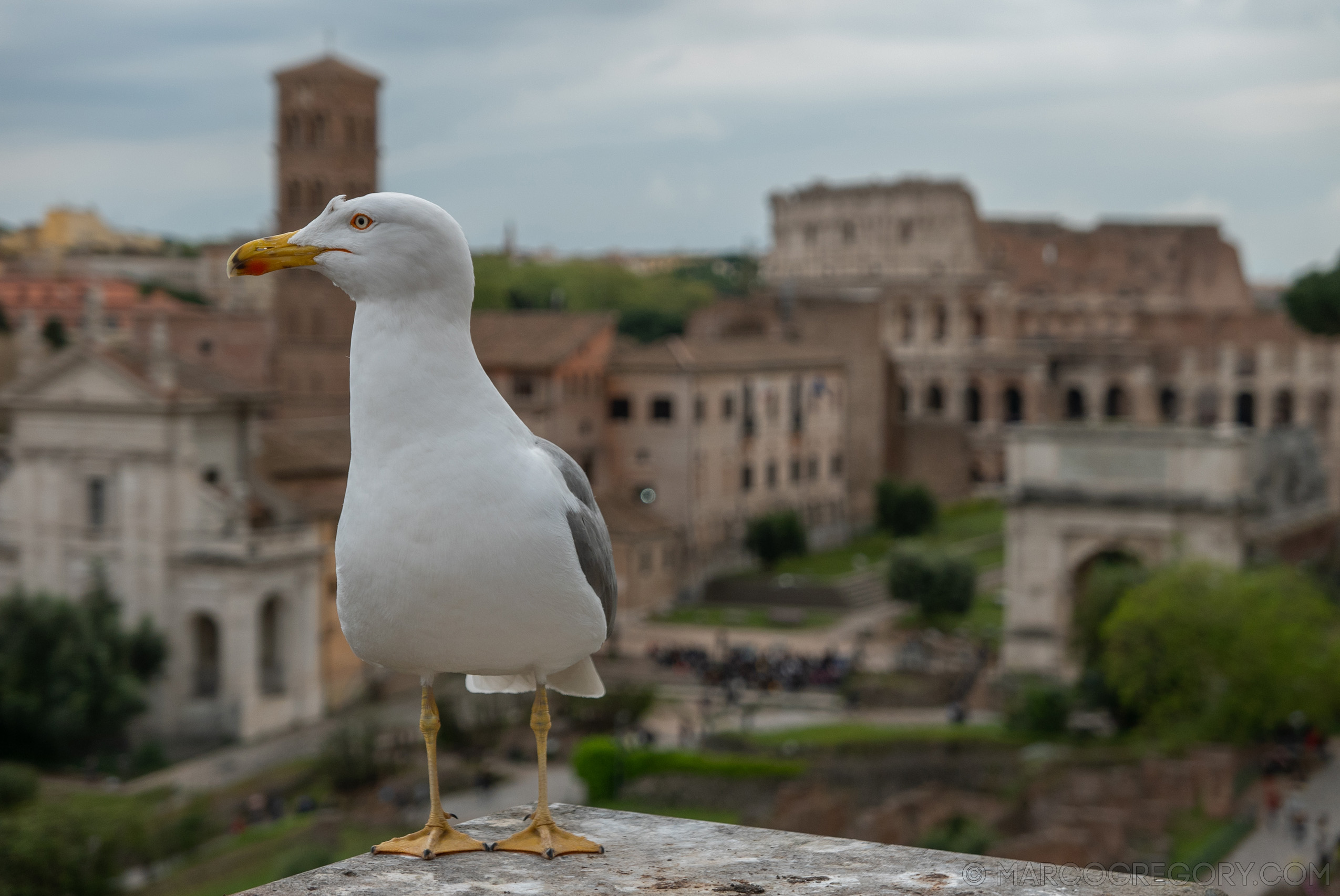 190410 Roma 2019 - Photo0179 of 387