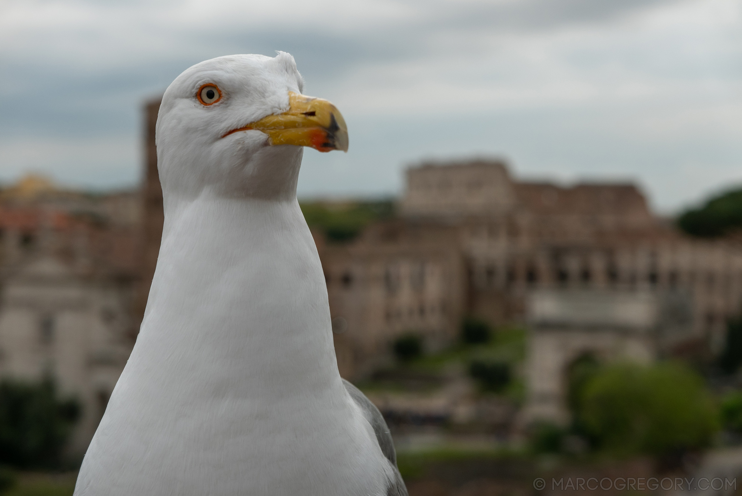 190410 Roma 2019 - Photo0181 of 387