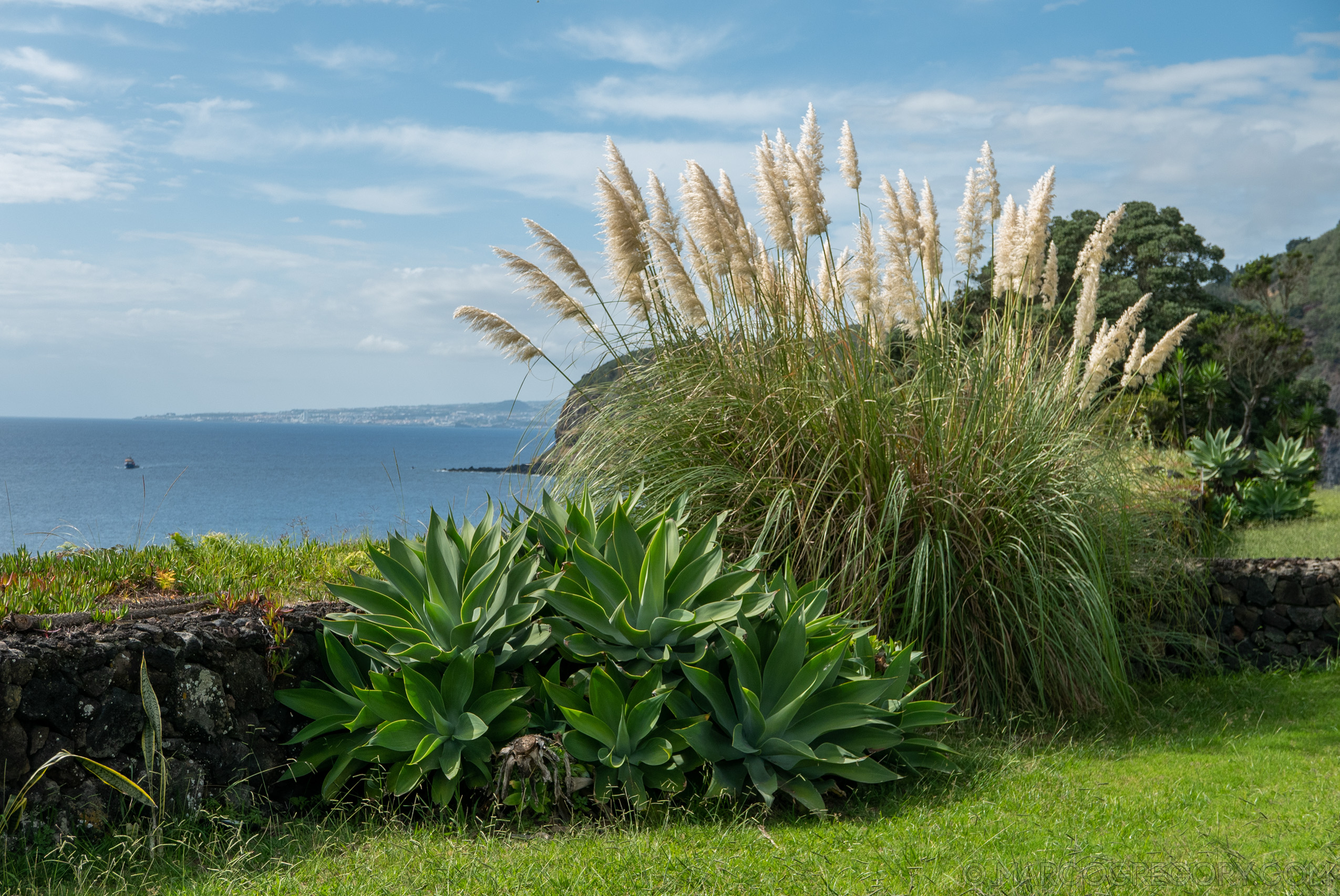 190916 Azores and Lisbon - Photo0008 of 513