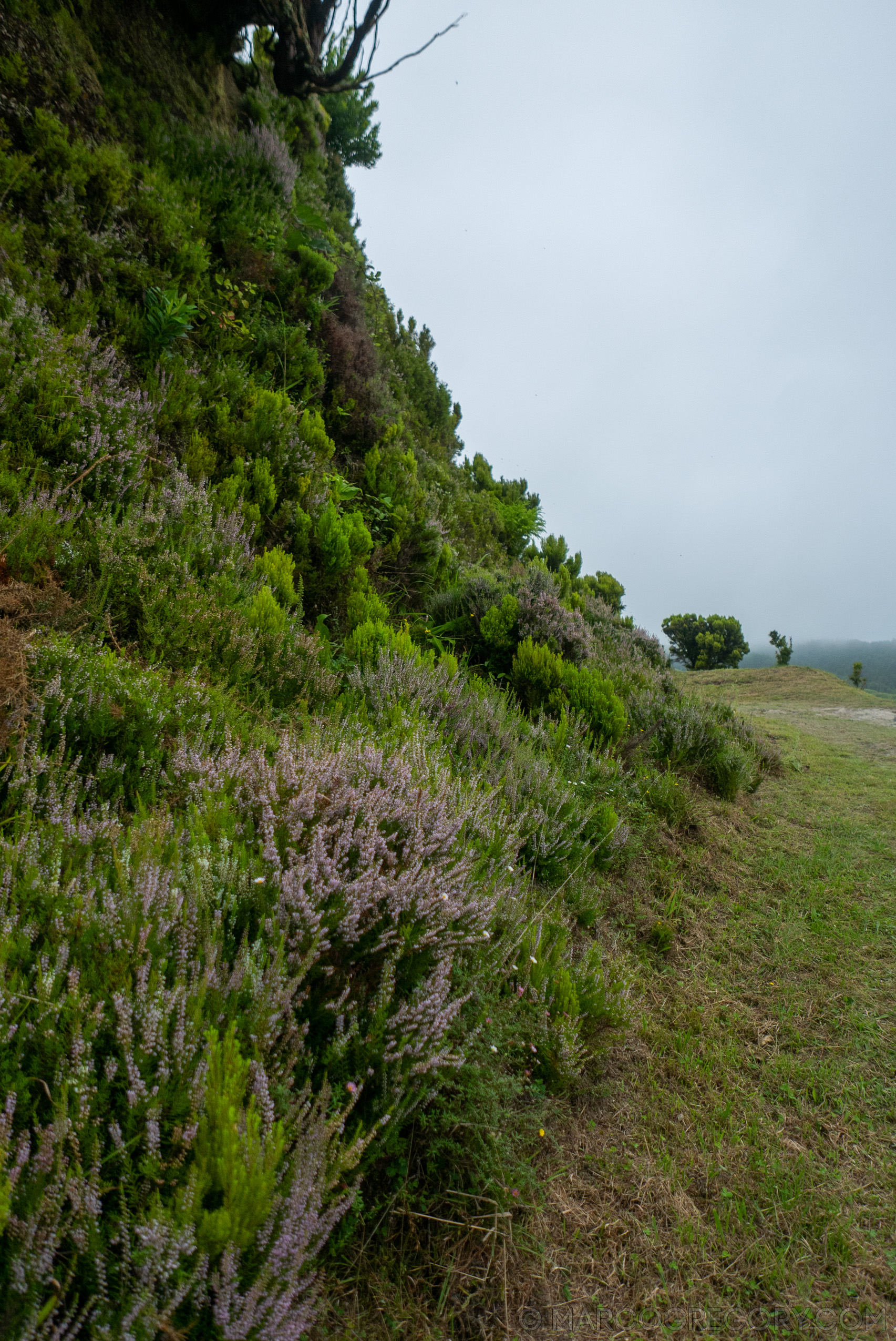 190916 Azores and Lisbon - Photo0044 of 513