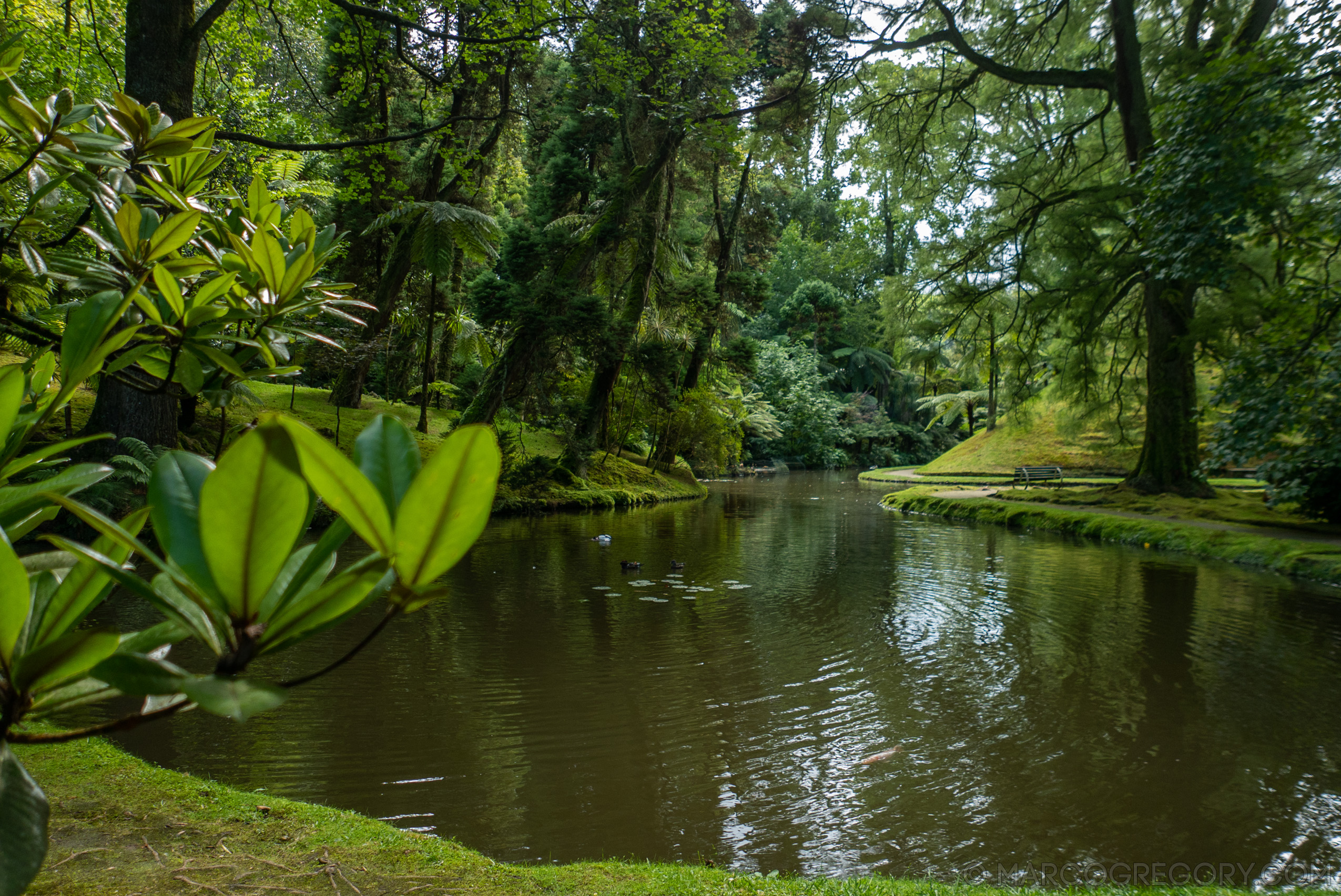 190916 Azores and Lisbon - Photo0111 of 513