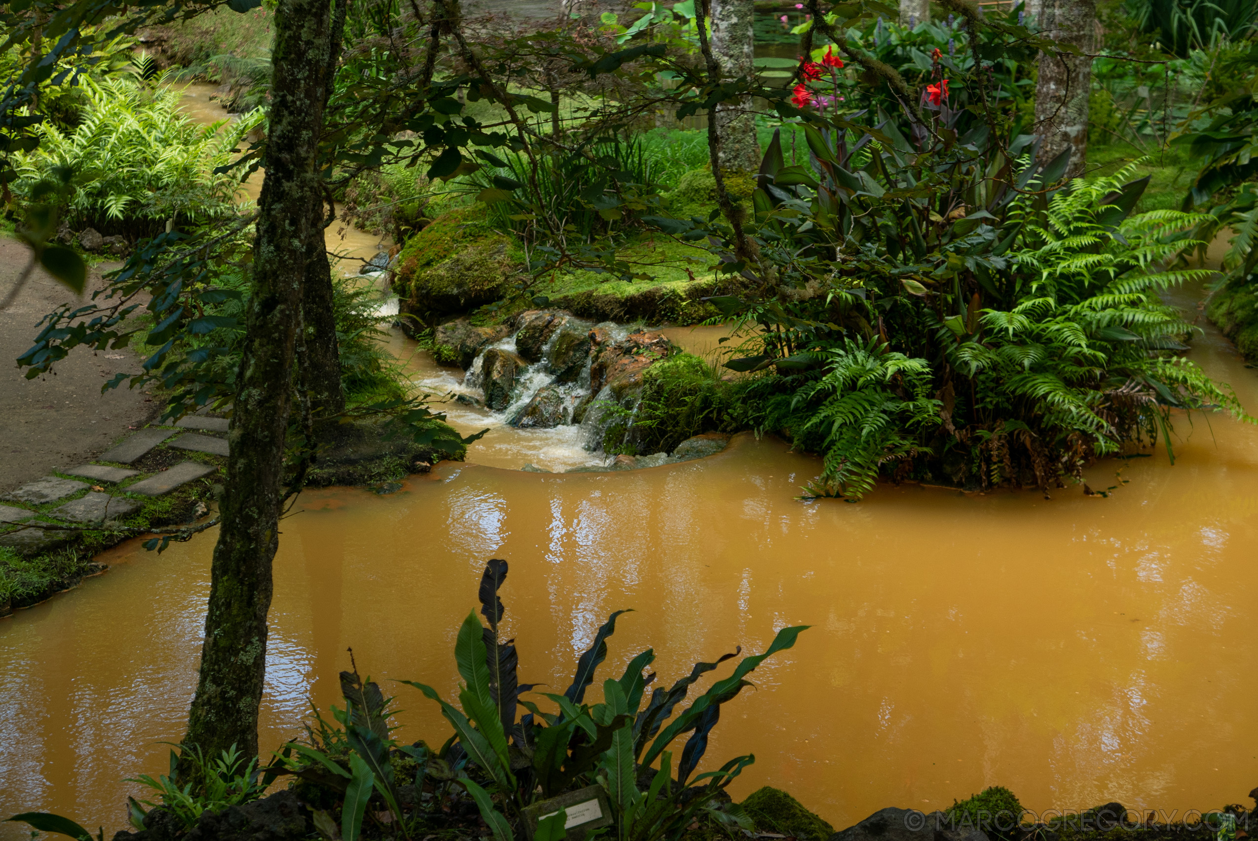 190916 Azores and Lisbon - Photo0115 of 513