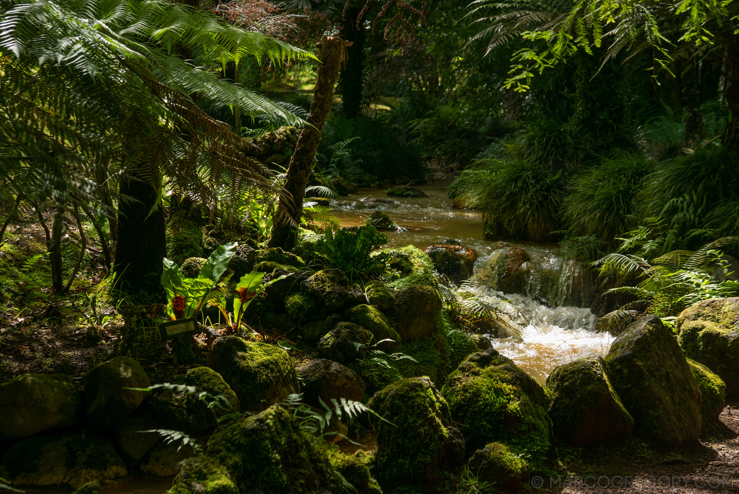 190916 Azores and Lisbon - Photo0152 of 513