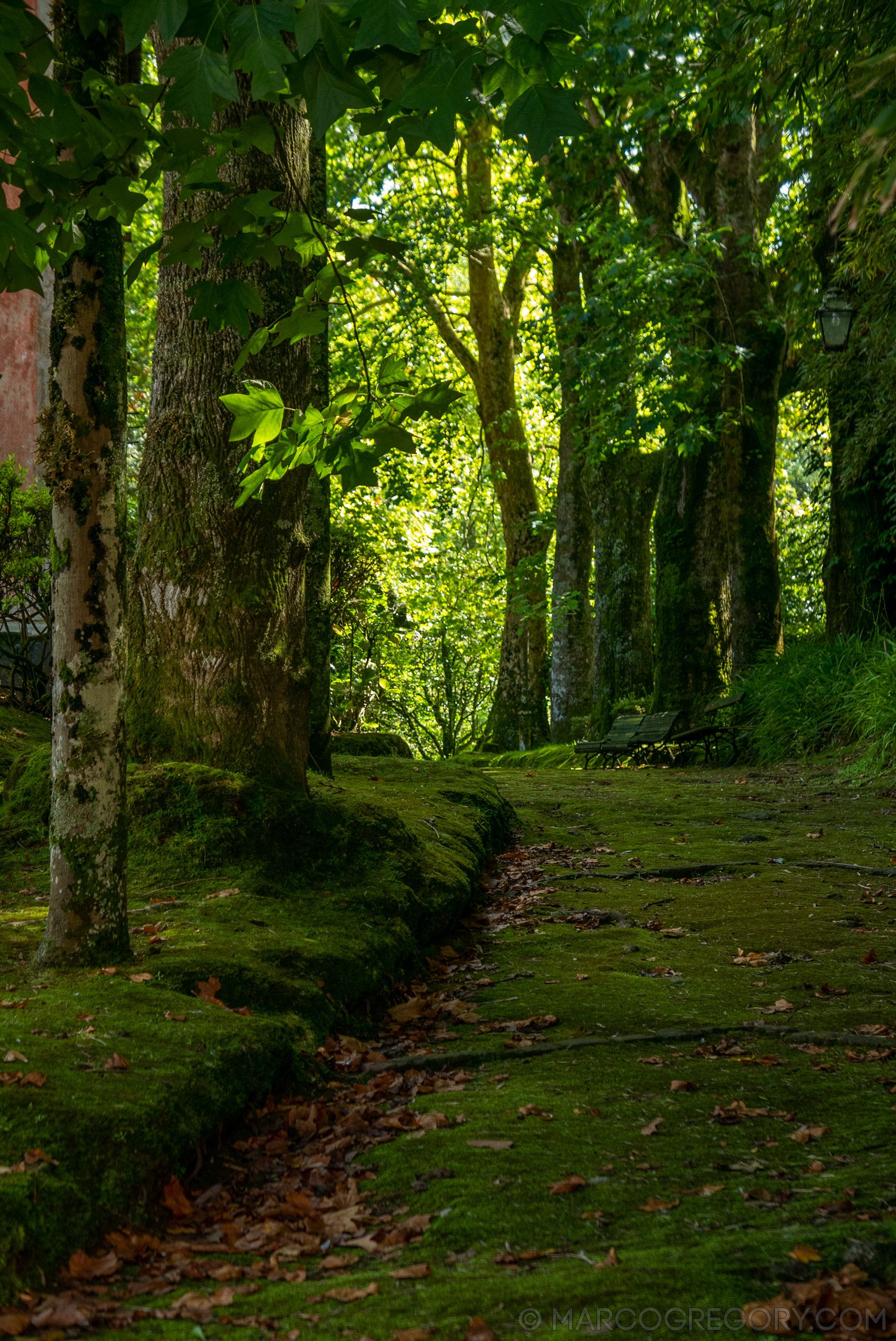 190916 Azores and Lisbon - Photo0161 of 513