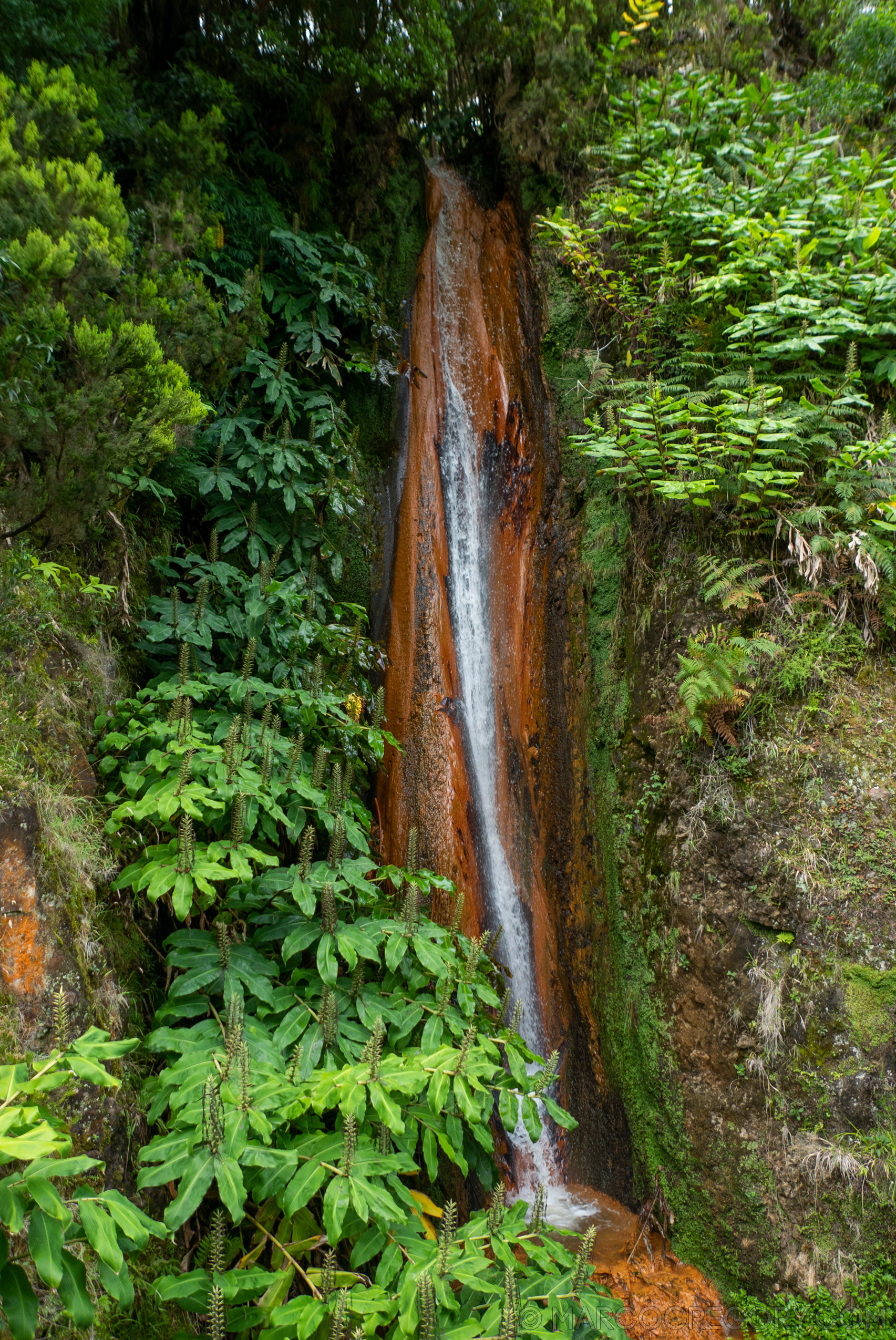 190916 Azores and Lisbon - Photo0173 of 513