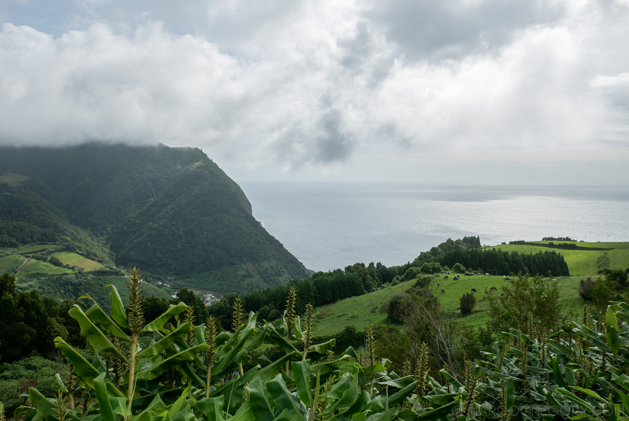 190916 Azores and Lisbon - Photo0188 of 513