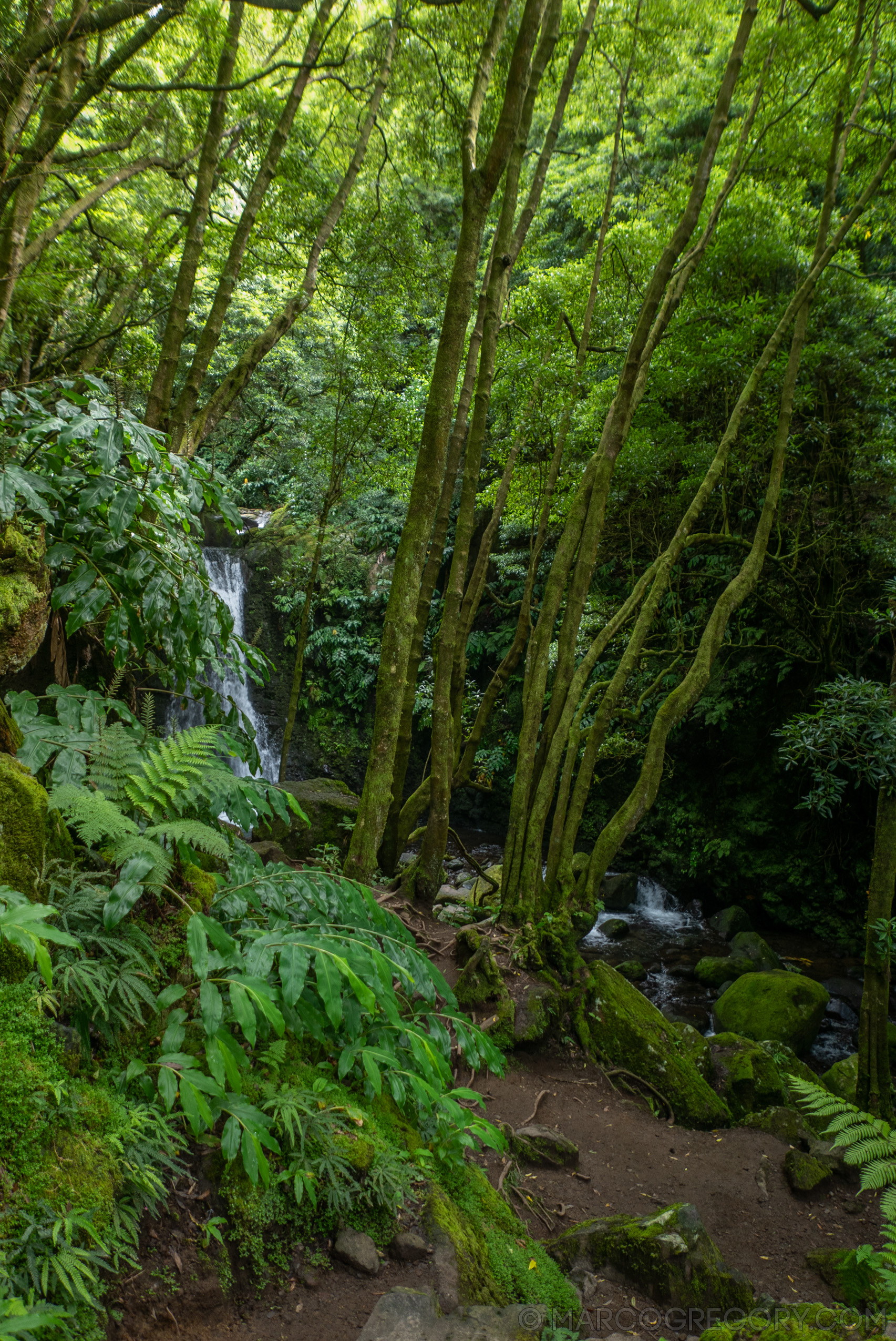 190916 Azores and Lisbon - Photo0195 of 513