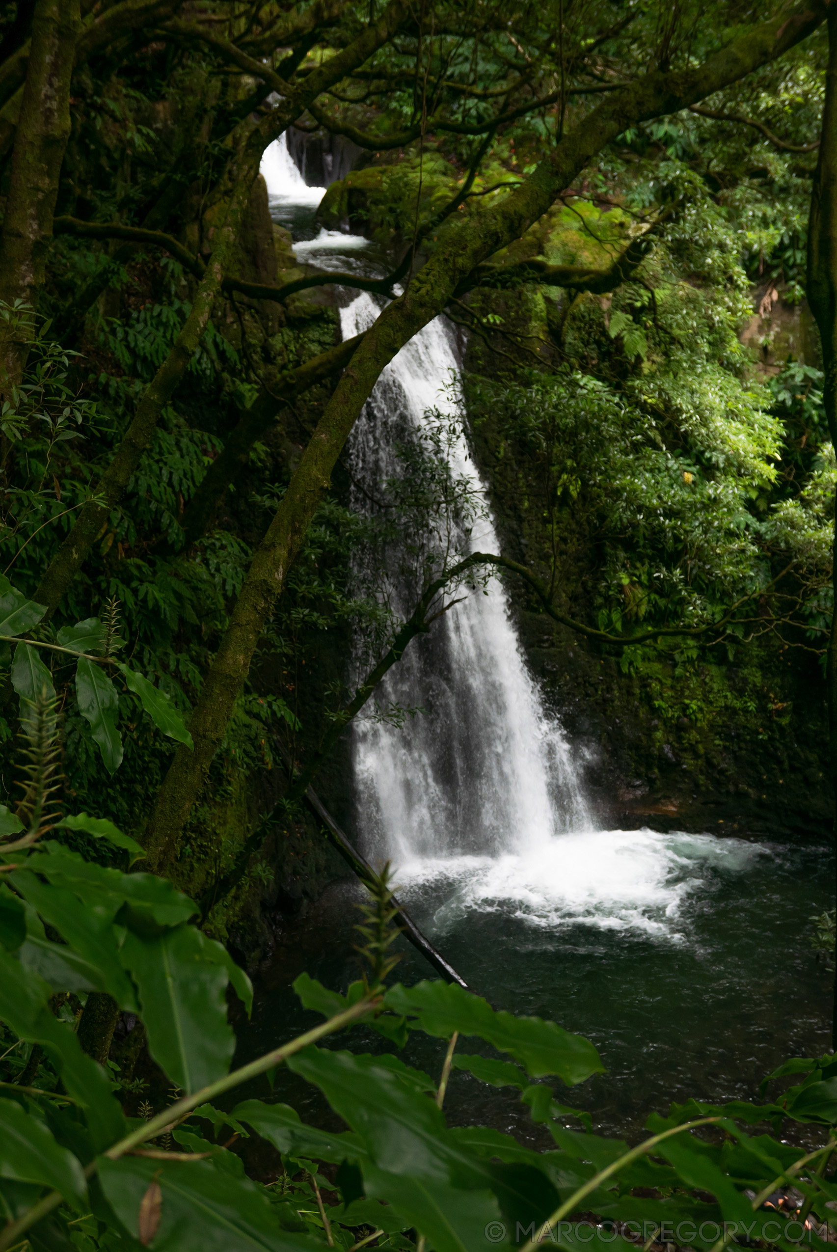 190916 Azores and Lisbon - Photo0202 of 513