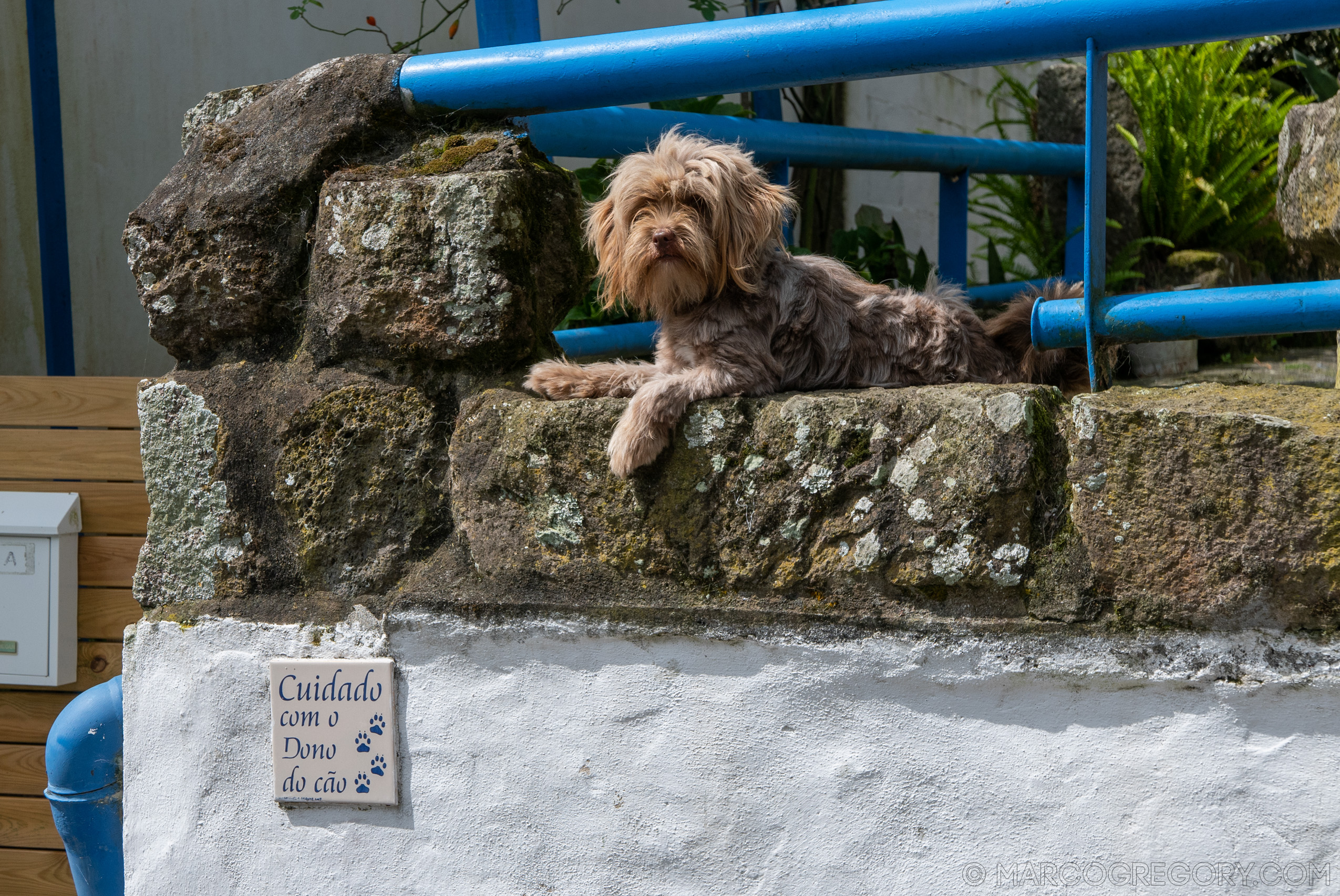 190916 Azores and Lisbon - Photo0212 of 513