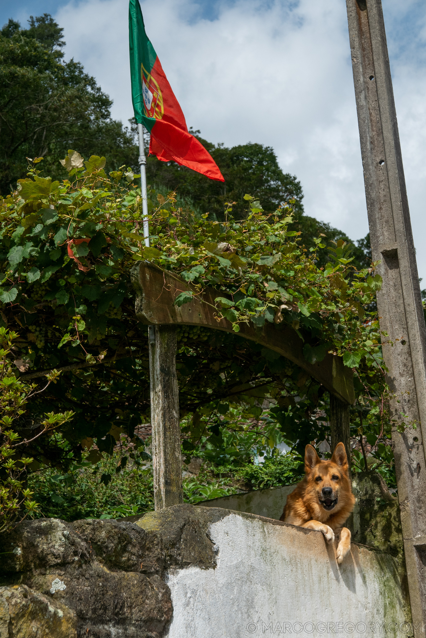 190916 Azores and Lisbon - Photo0213 of 513