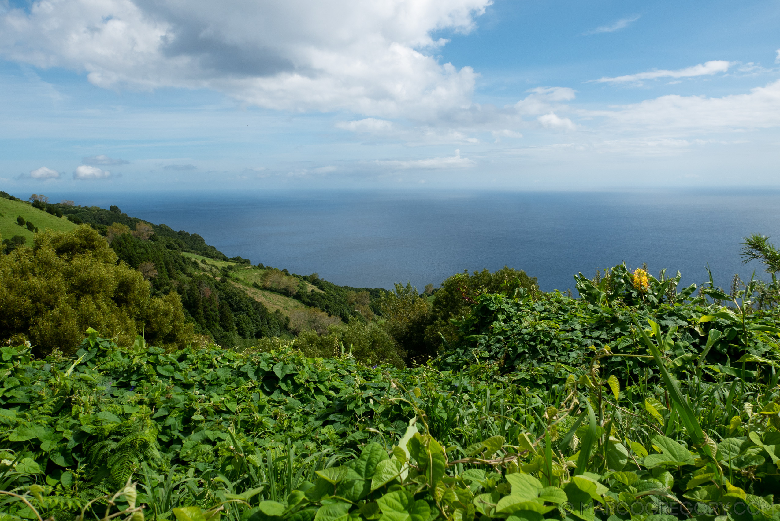 190916 Azores and Lisbon - Photo0214 of 513