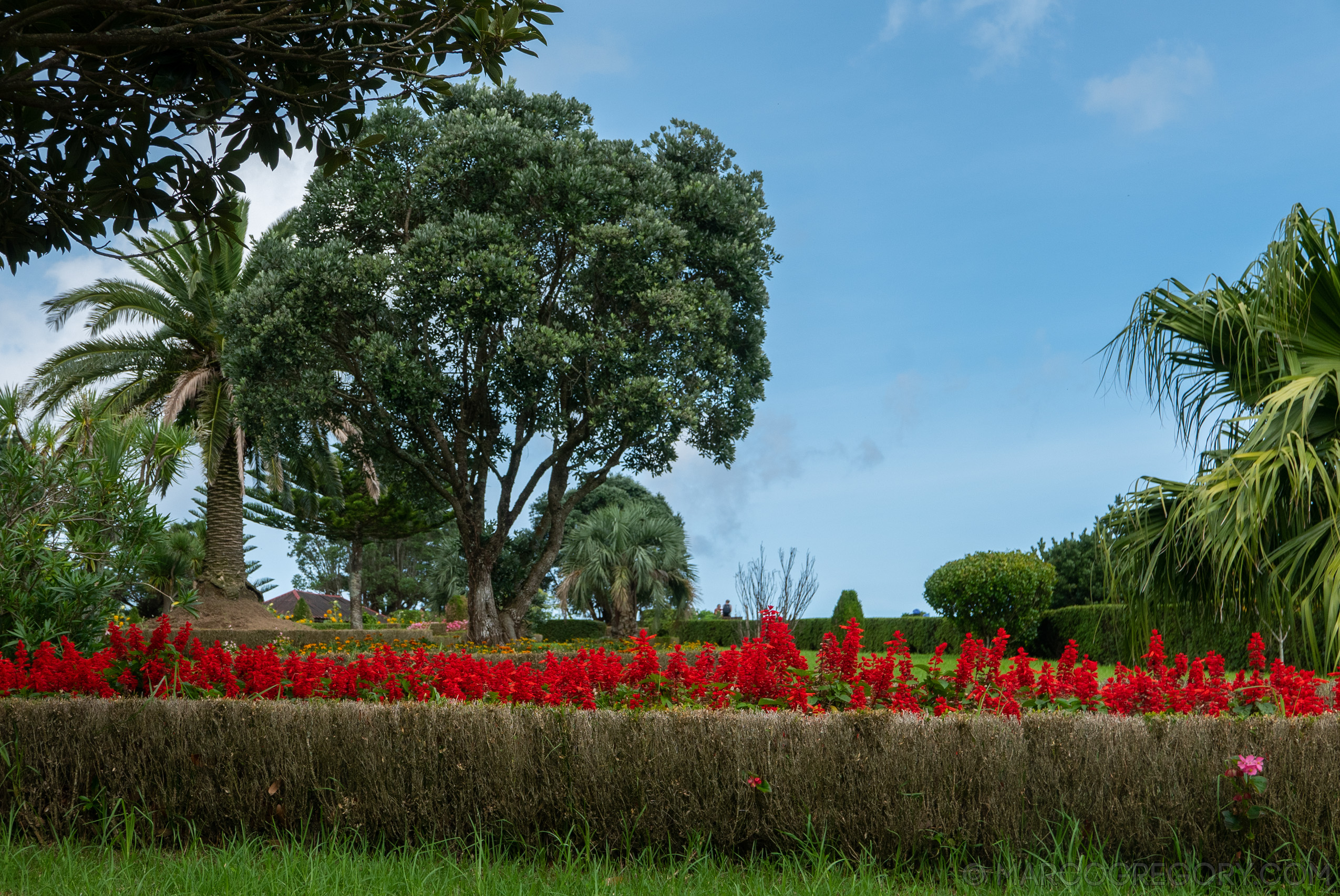 190916 Azores and Lisbon - Photo0225 of 513