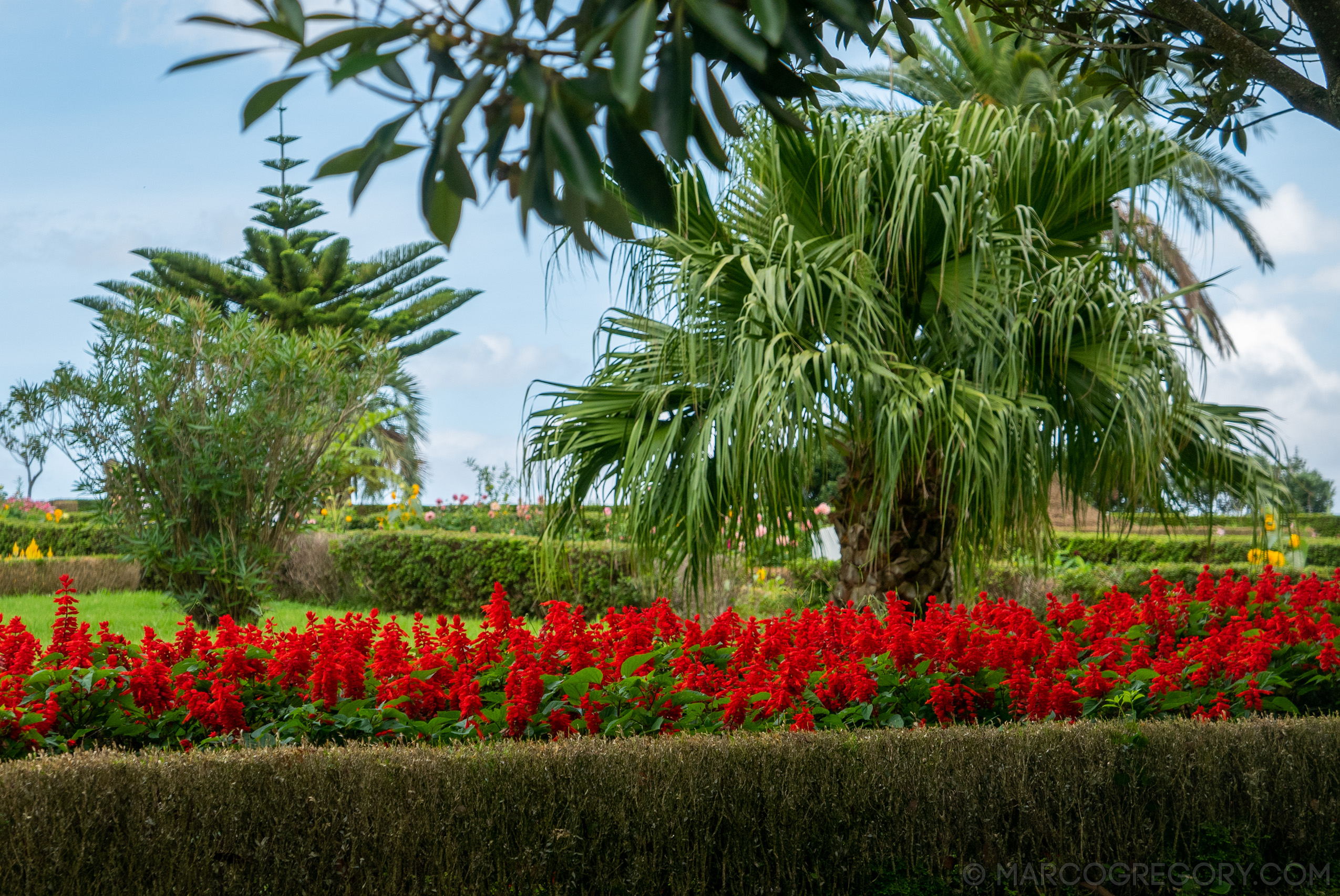 190916 Azores and Lisbon - Photo0239 of 513