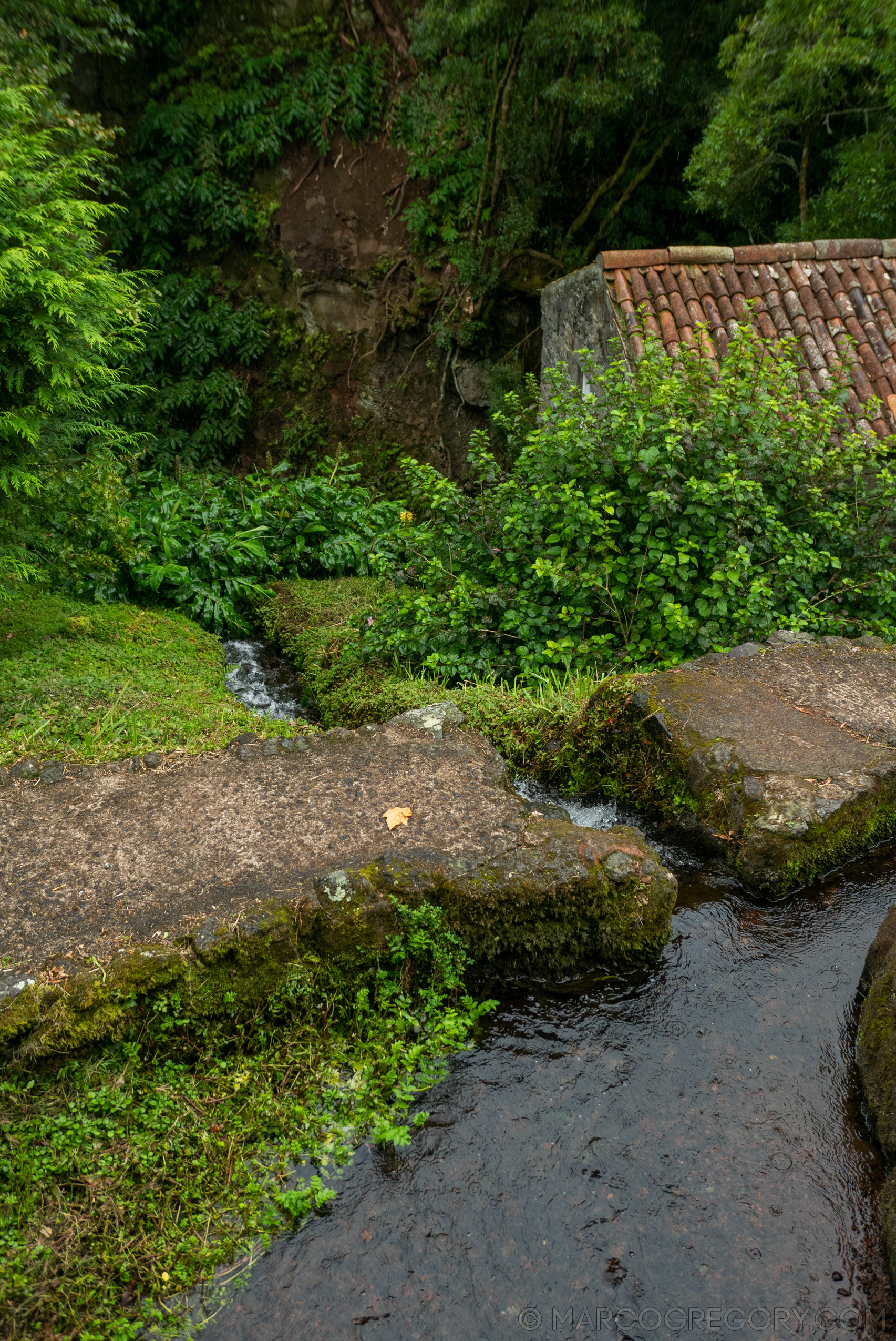 190916 Azores and Lisbon - Photo0281 of 513