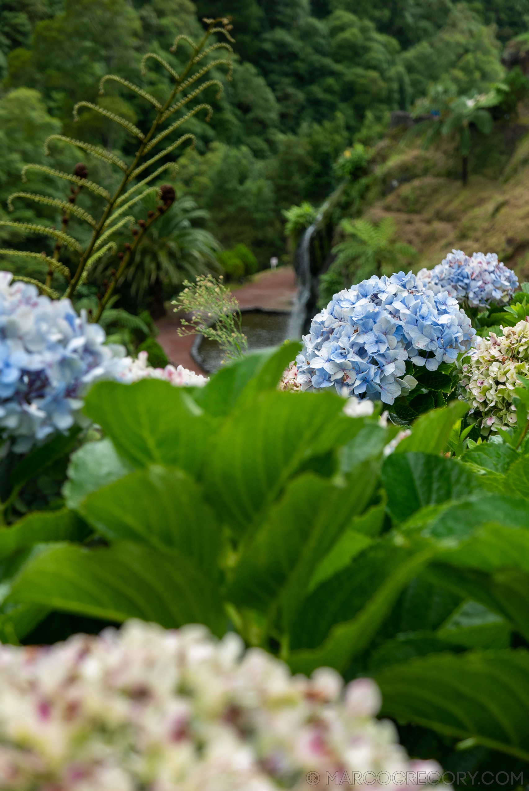 190916 Azores and Lisbon - Photo0285 of 513