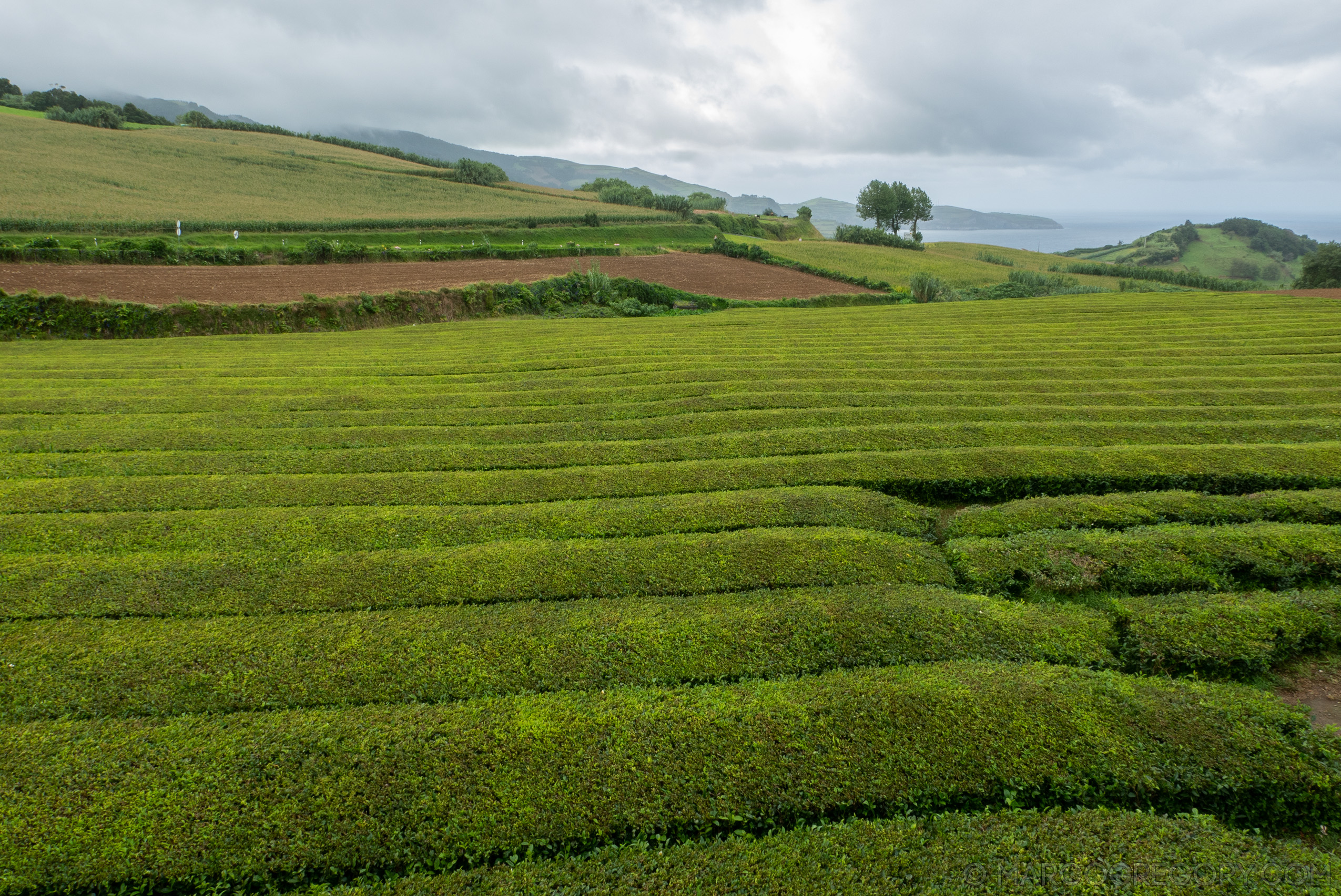 190916 Azores and Lisbon - Photo0297 of 513