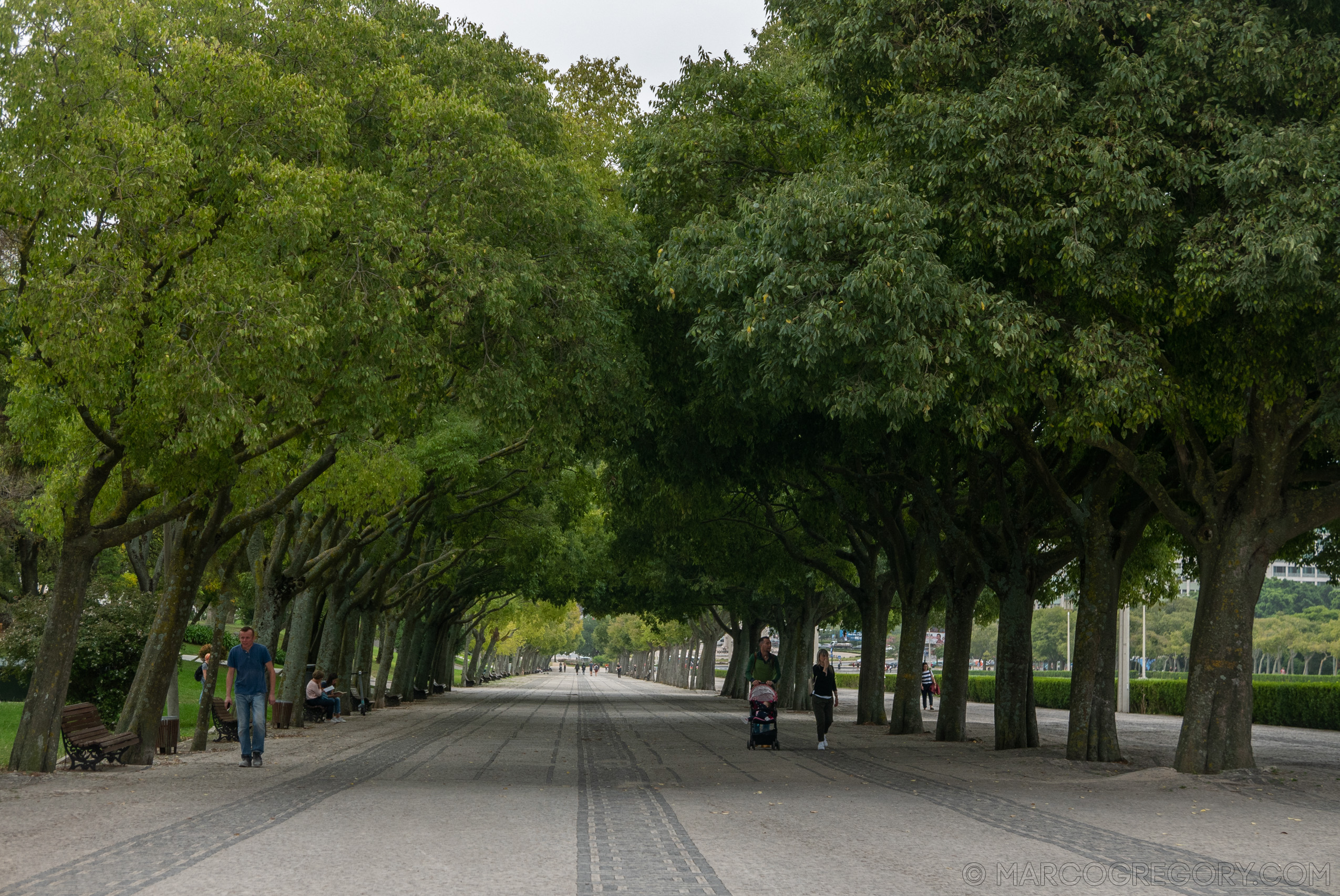 190916 Azores and Lisbon - Photo0419 of 513