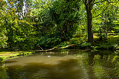 190916 Azores and Lisbon - Photo 0109